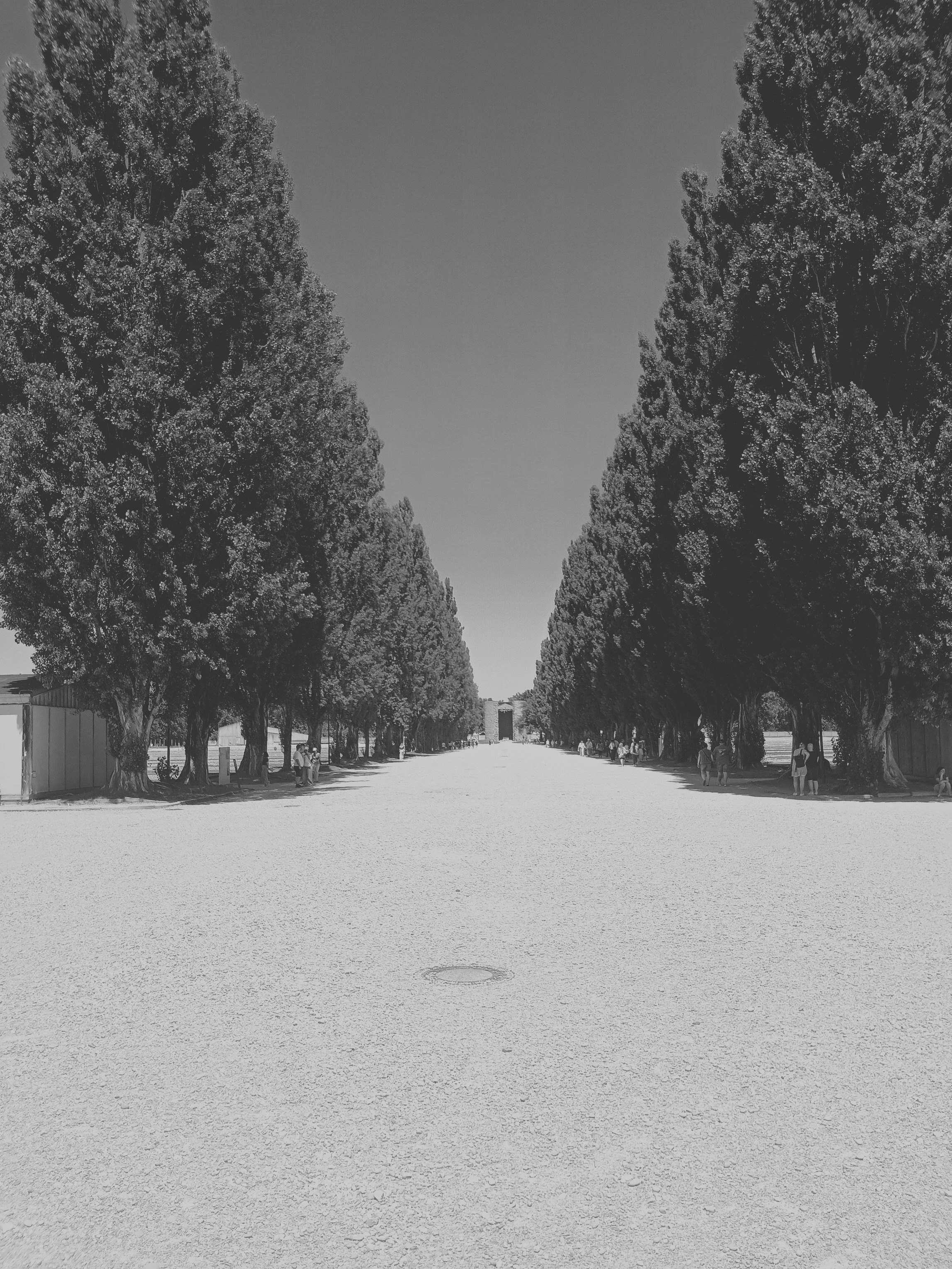 camp_road.jpg