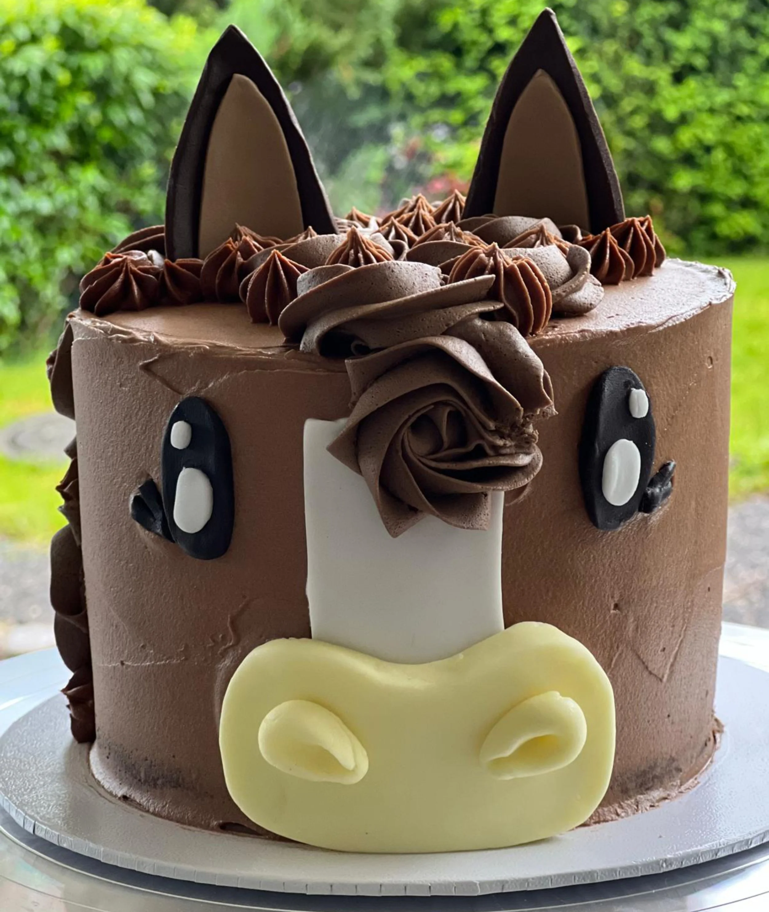 CAKE - Animal Cake - Horse front.jpg