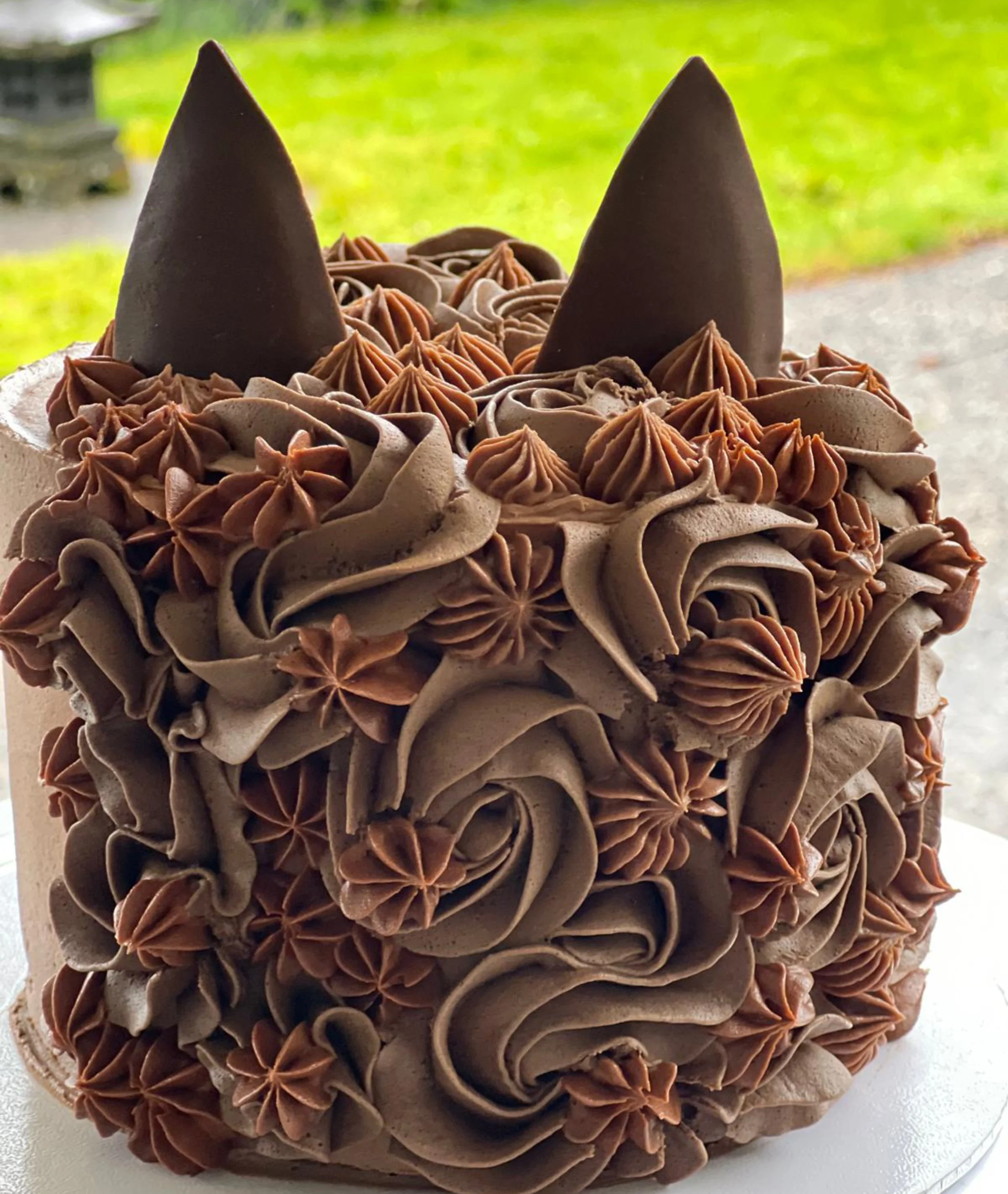 CAKE - Animal Cake - Horse back.jpg