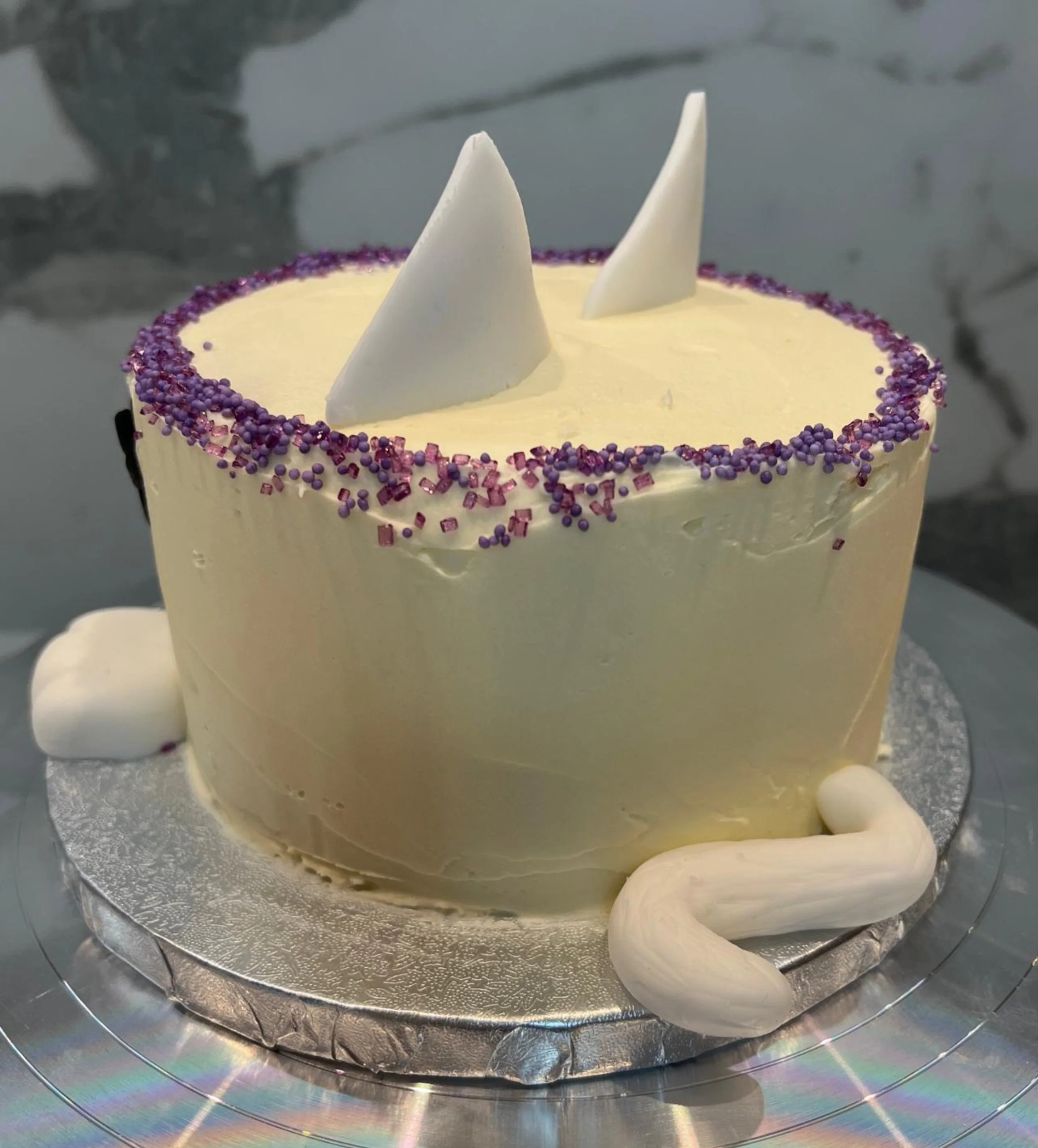 CAKE - Animal Cake - Cat back.jpg