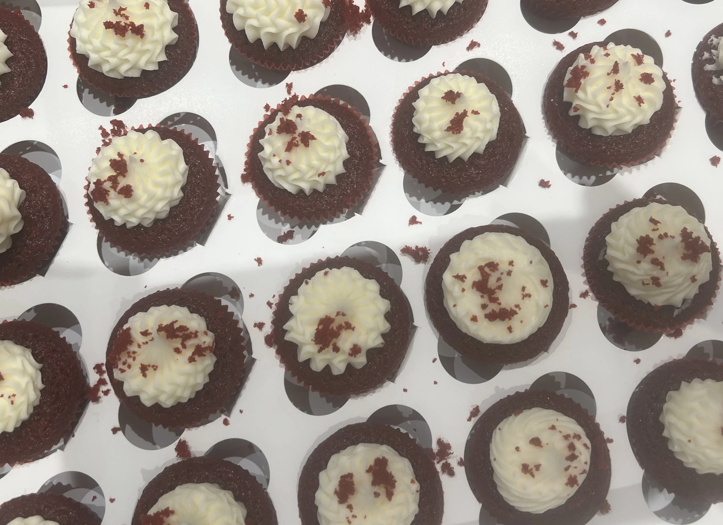 Make Up Your Own Mini Cupcakes