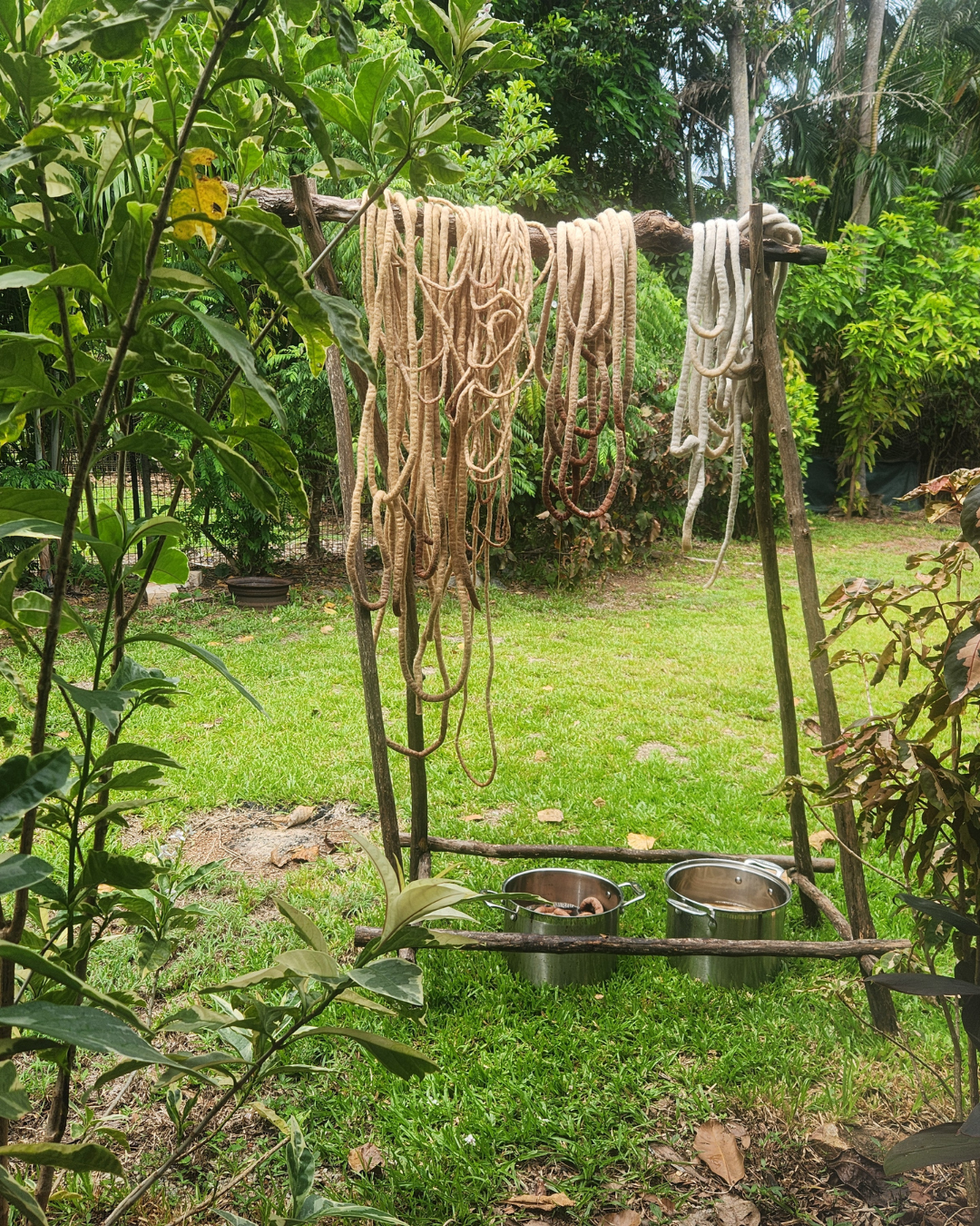naturally dyed wool hanging outside to dry in tropical setting