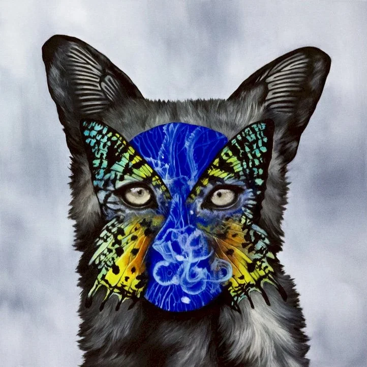 Seafox Series 1