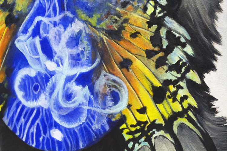 work_seafox 1_04.JPG