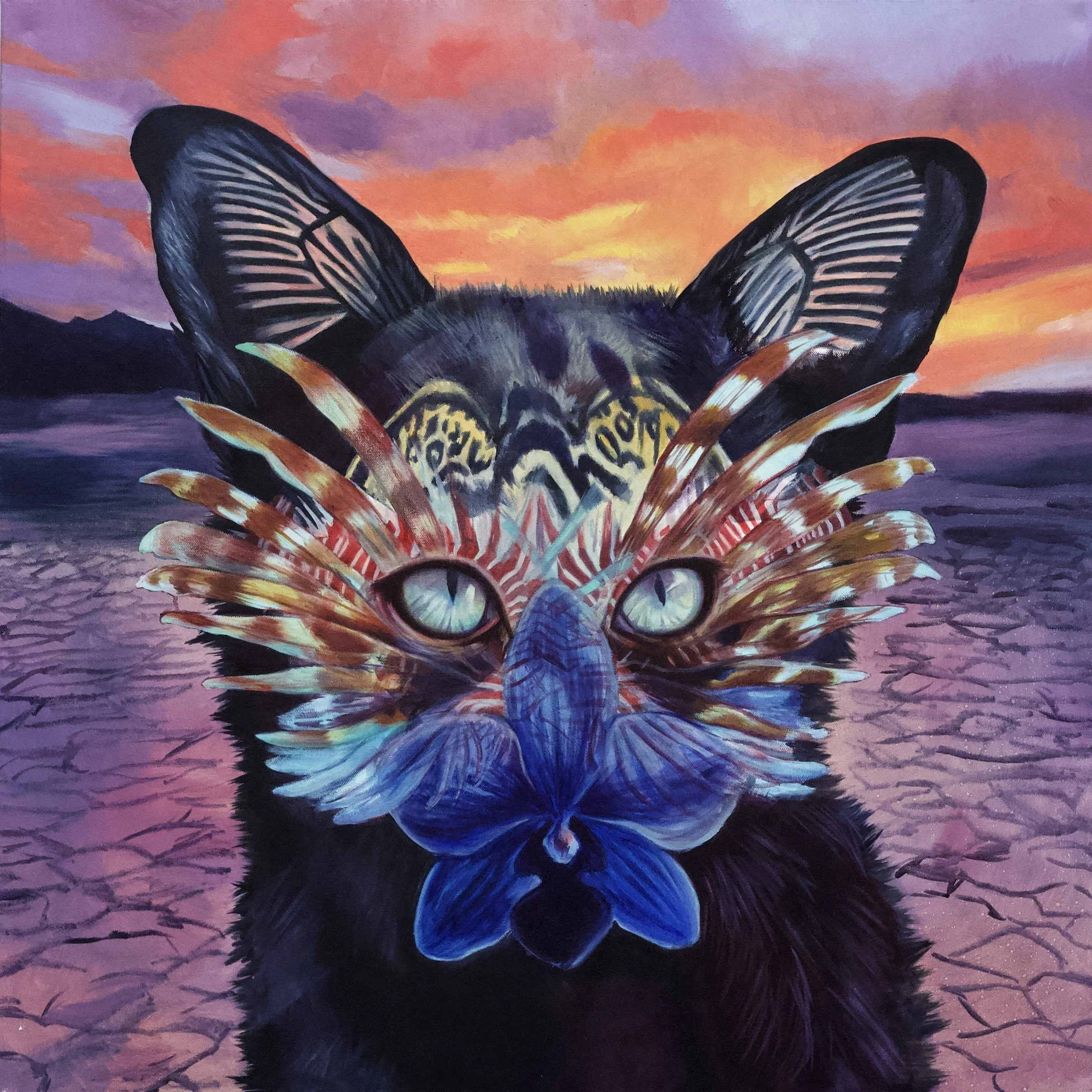 Seafox Series 2