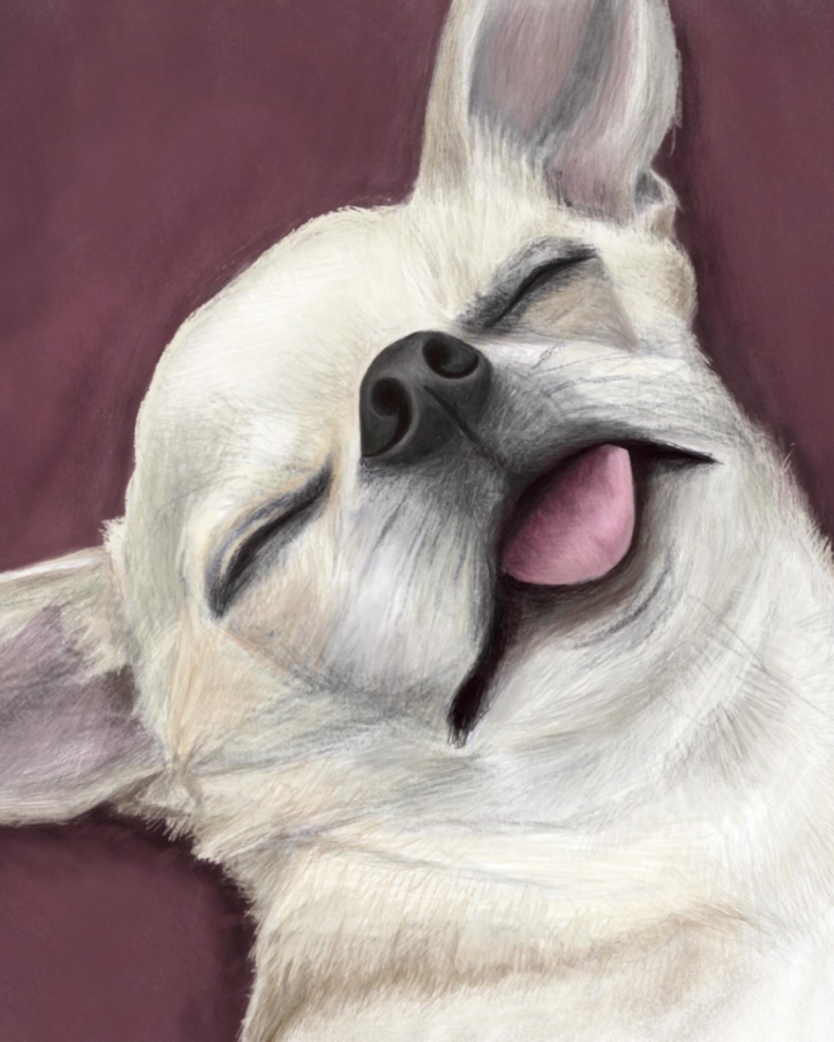 Fresh out of the oven!
#digitalartistportal #digitalpetart #chihuahualady