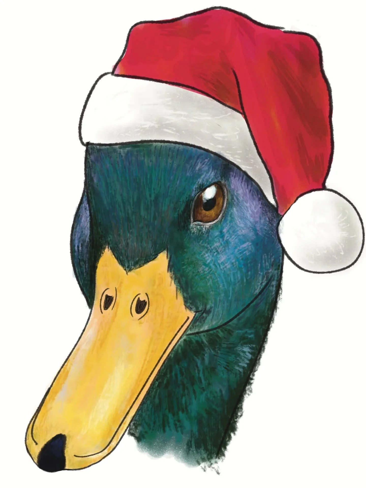 Delighted to partake in the yearly CasualUK tradition of posting ducks on Christmas Day. I drew this for the festivities. #digitalanimal #digitalanimalart #animalillustrations