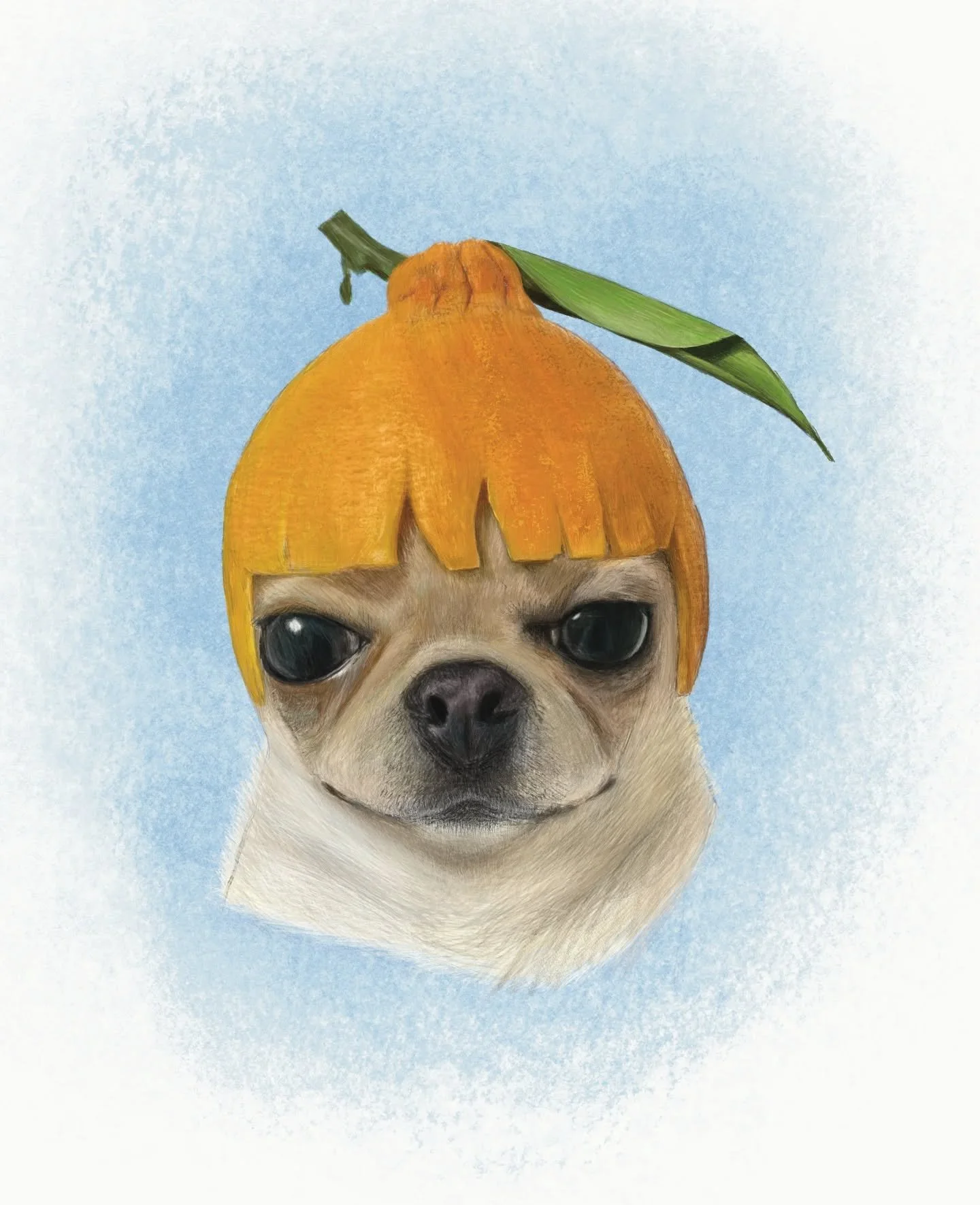 Orange you glad I posted this little chi today? I loved the photo of them posted on reddit and had to draw my own version. Merry Christmas everyone!
.
#digitalpetdrawing #digitalportraitart #digitalportraitdrawing #digitalpetillustration #digitalillu