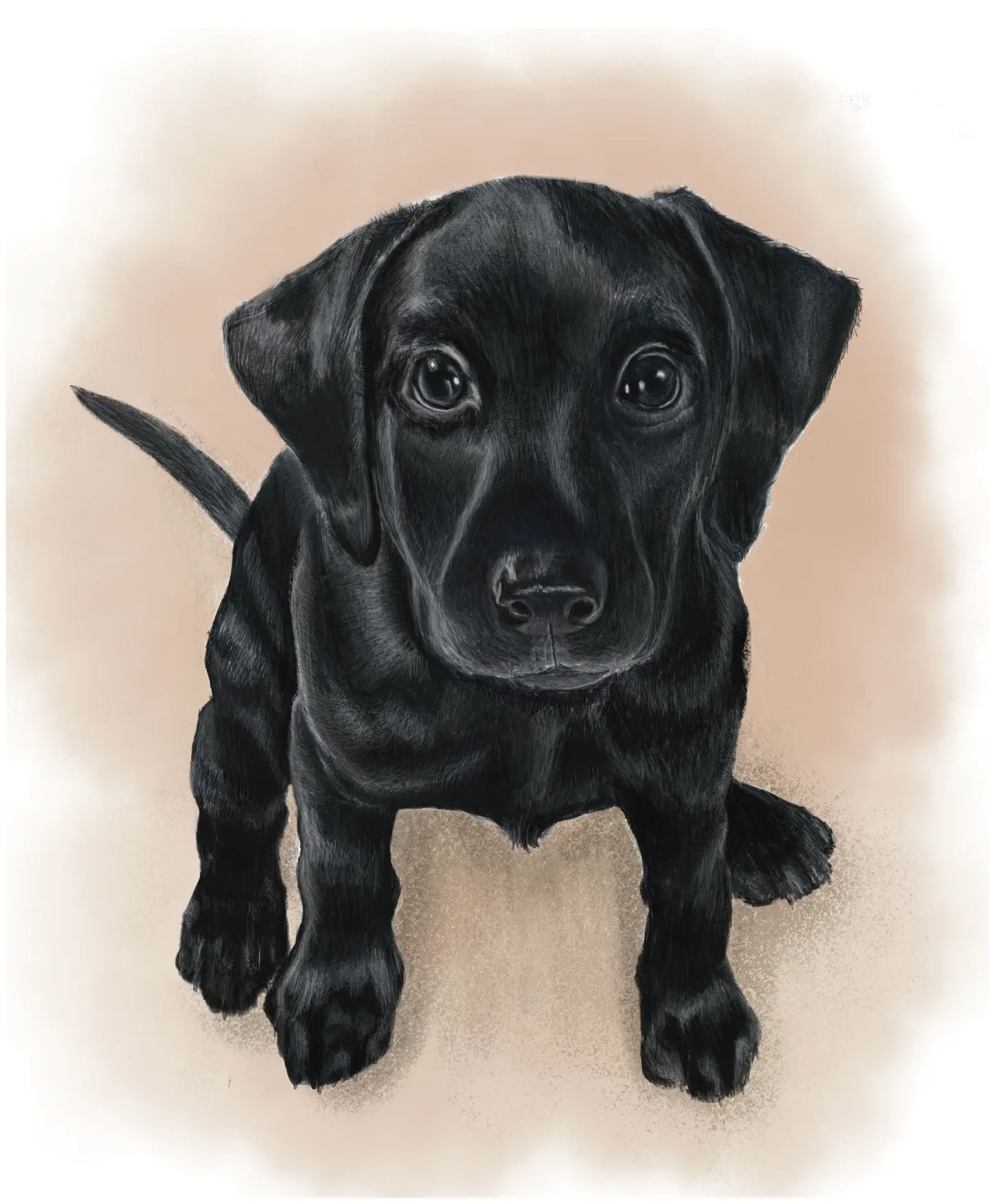 Just in case you missed it, this is what I have for secret santa this year. My colleague just adopted a little lab puppy and had shared his photo in the work chat. I feel in loooove with his gorgeous silky fur and big eyes. HAD to draw him. Got very 