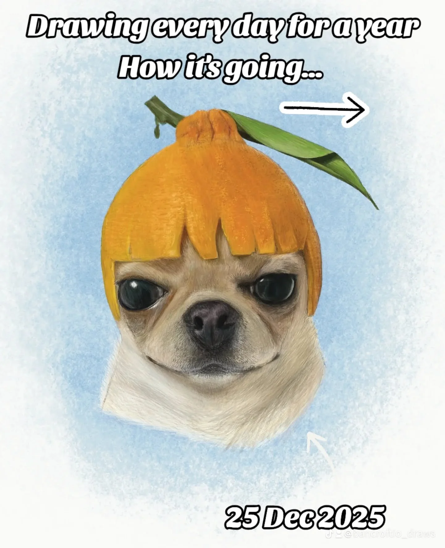 This is what happened when I drew every day in 2025. If you're just starting out for 2026, keep at it! 🌟 Share your new year's resolution in the comments for accountability and support. There's a post on my blog later today with help for people who 