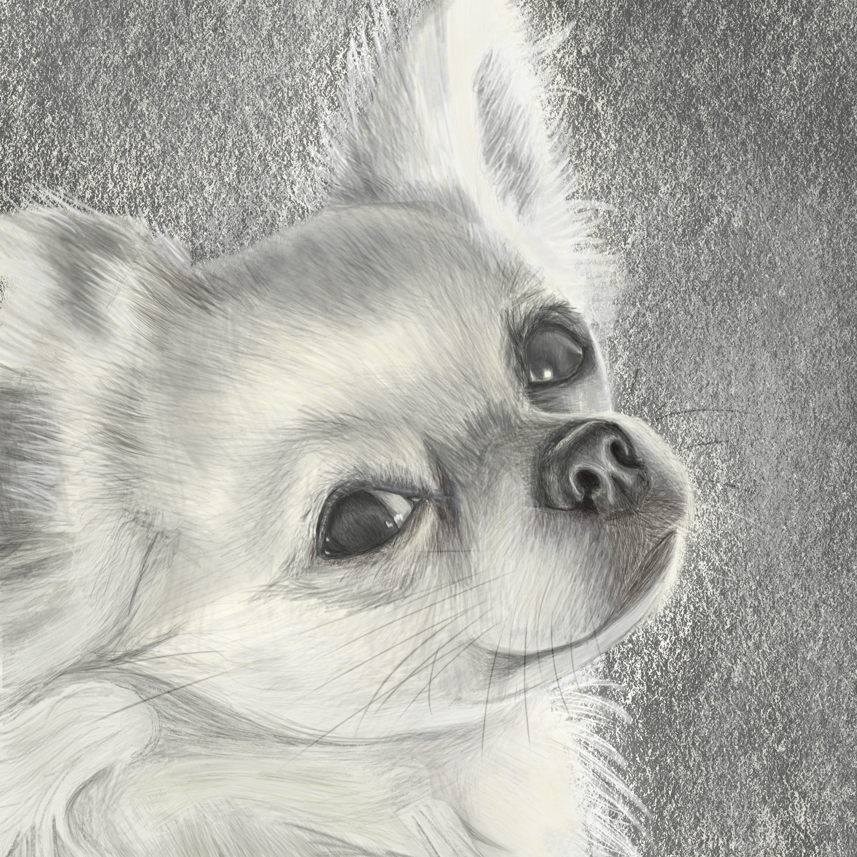 # 7 Mistakes You’re Making with Pet Photos (And How to Get the Perfect Portrait Reference)