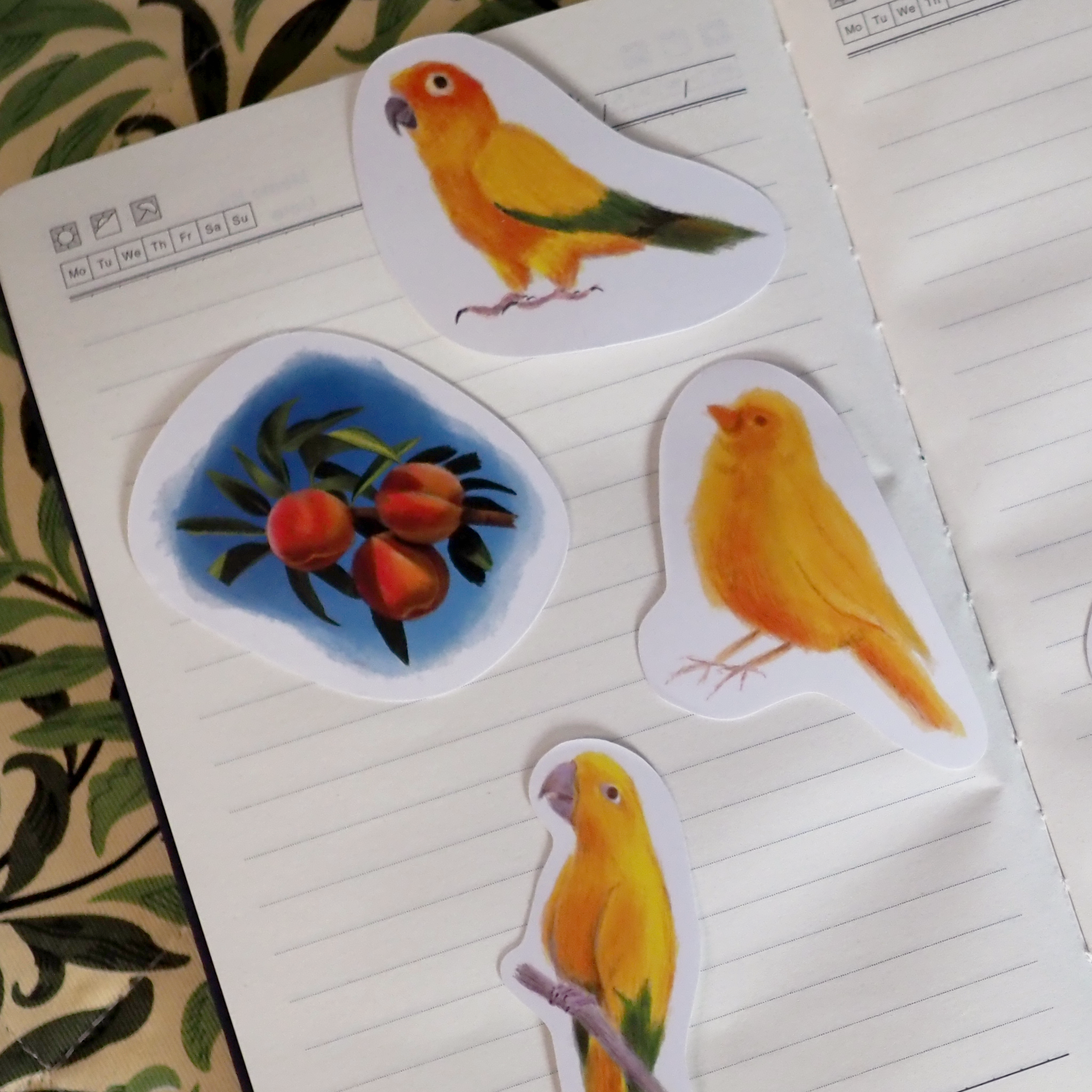 Product template (13).png