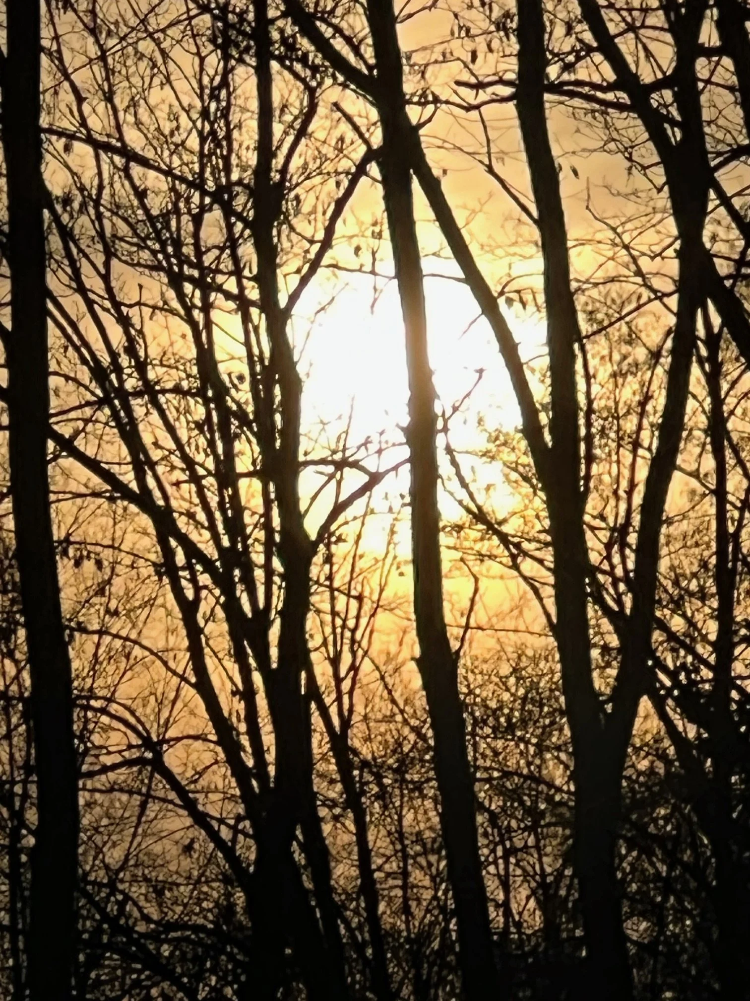 IMG_6816.jpeg