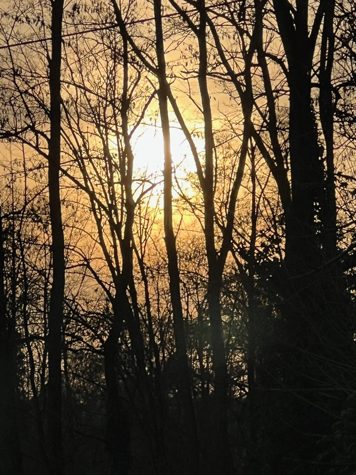IMG_6815.jpeg