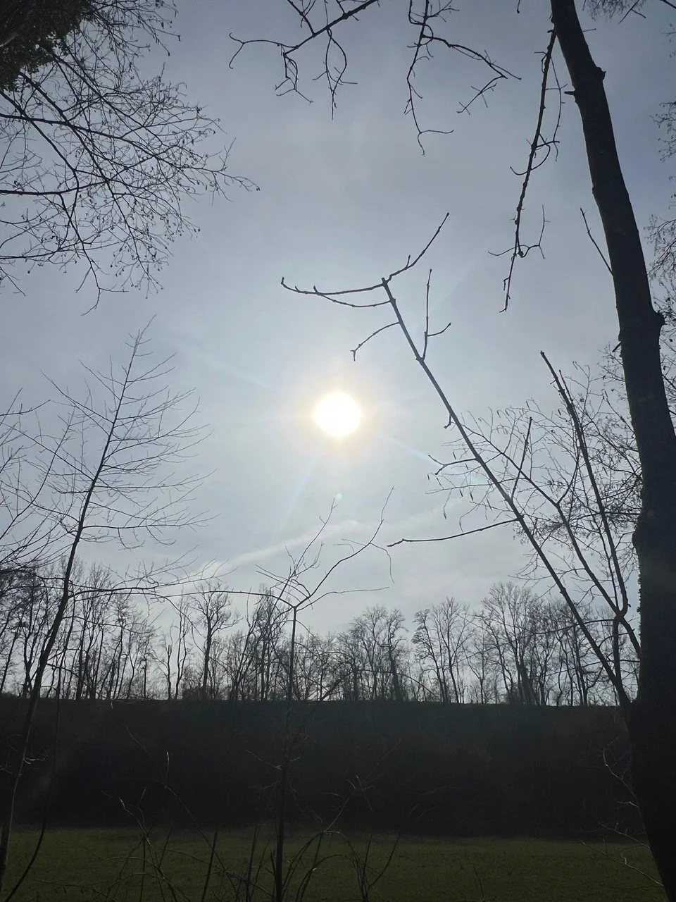 IMG_6786.jpeg