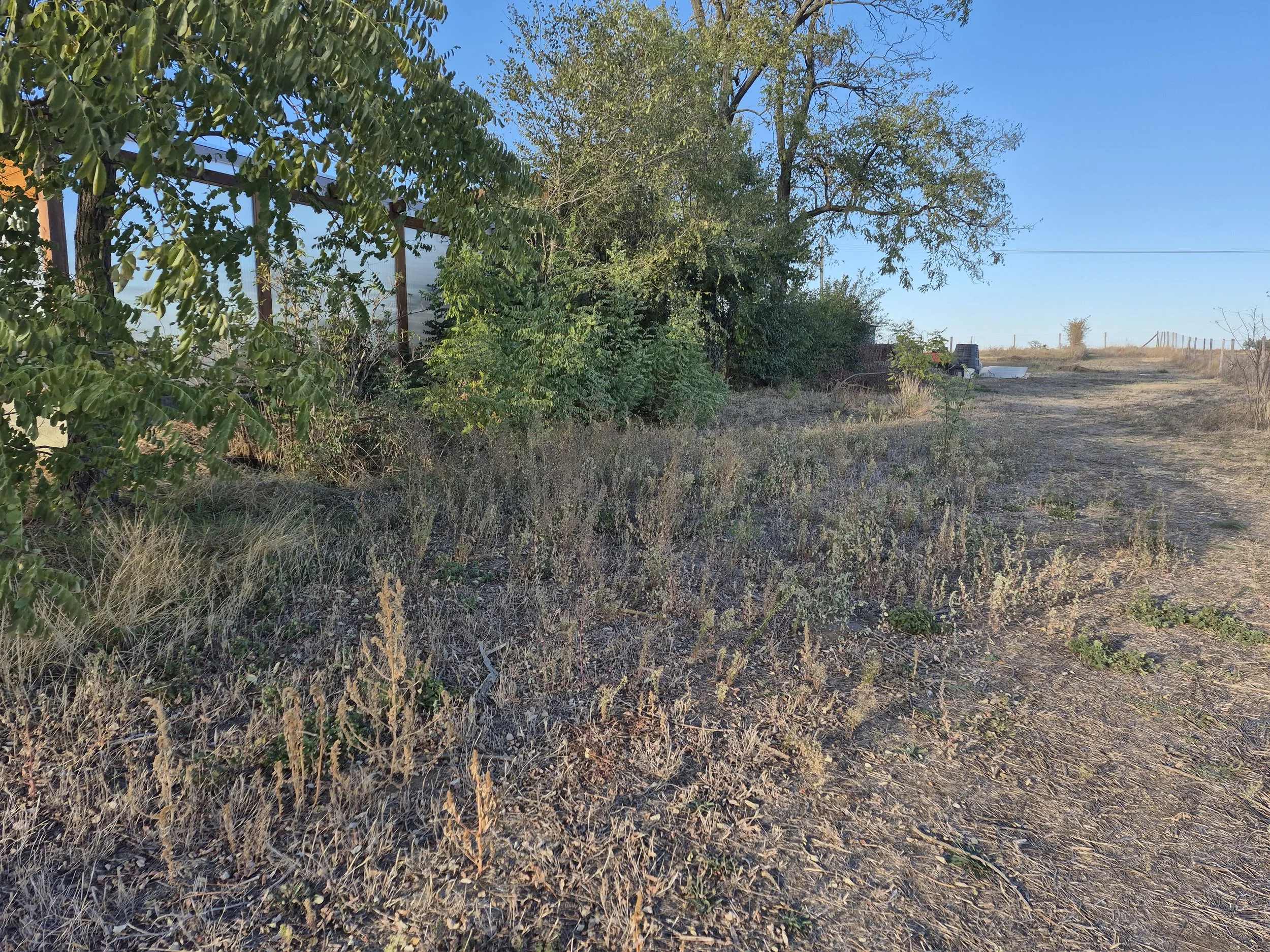 How to Improve Sandy Soil Without Digging
