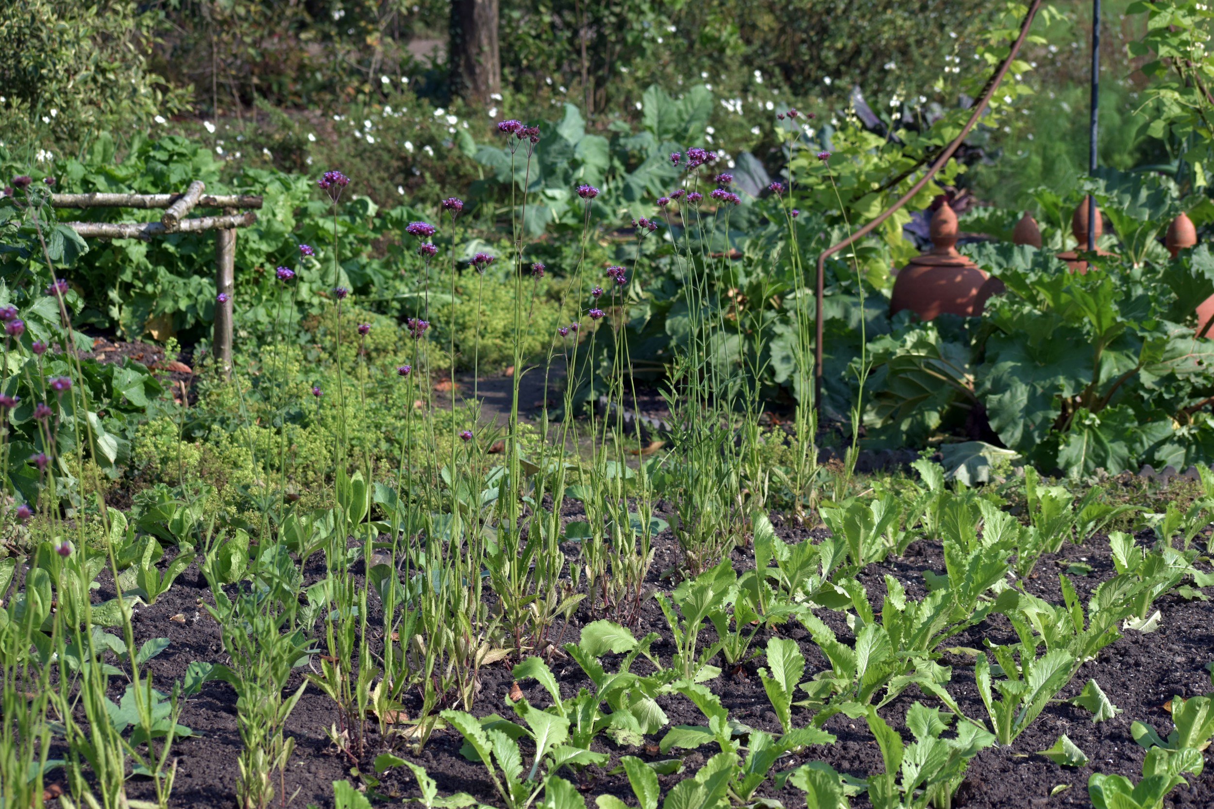 How to Improve Silty Soil Without Compacting It