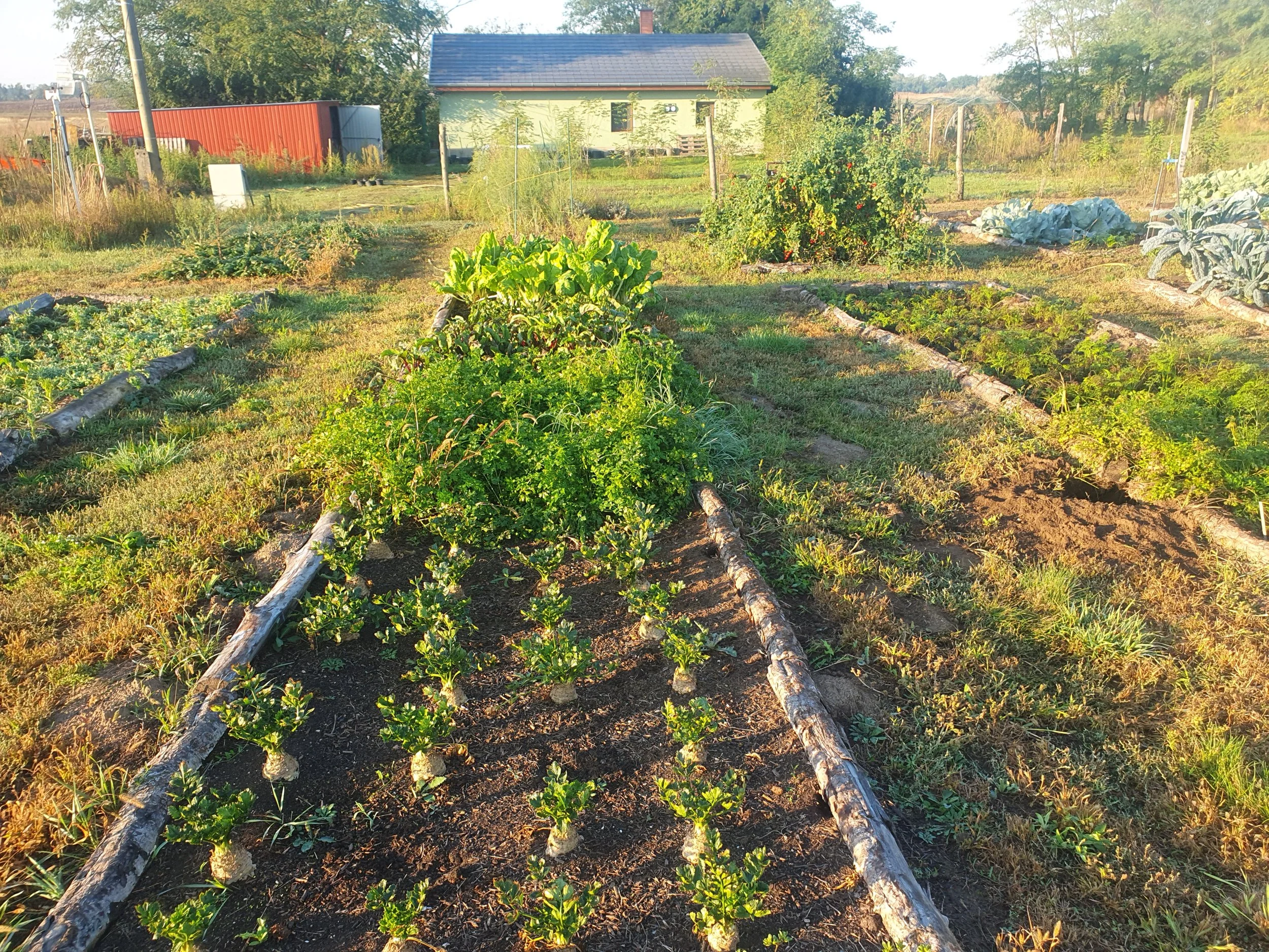 How to Improve Soil Health Naturally