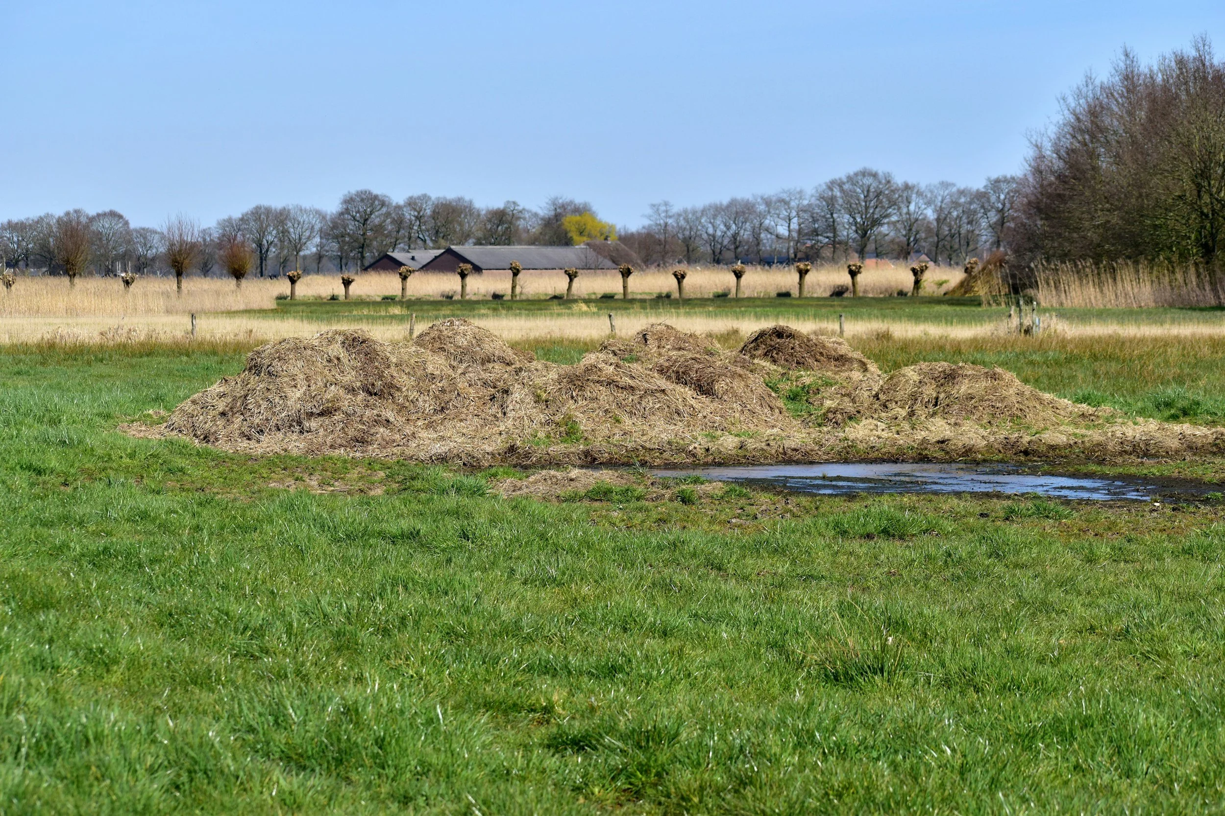 How to Use Animal Manure Safely in the Garden