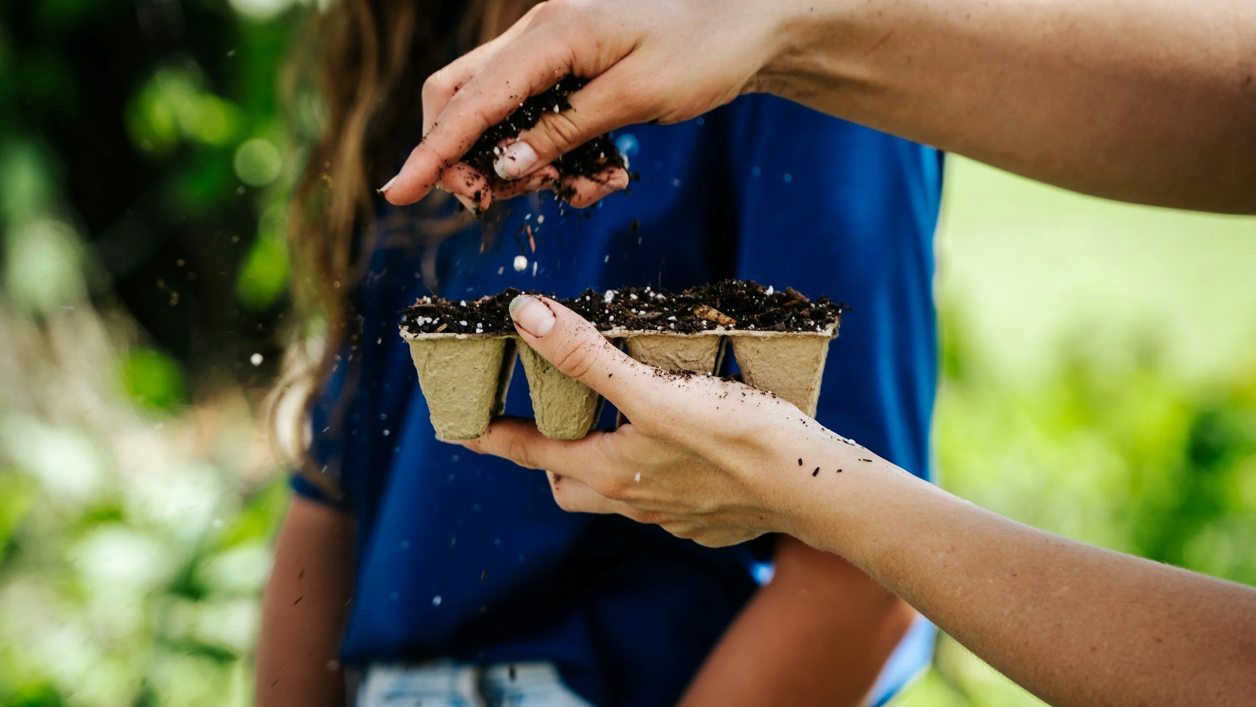 How to Sow Seeds Successfully