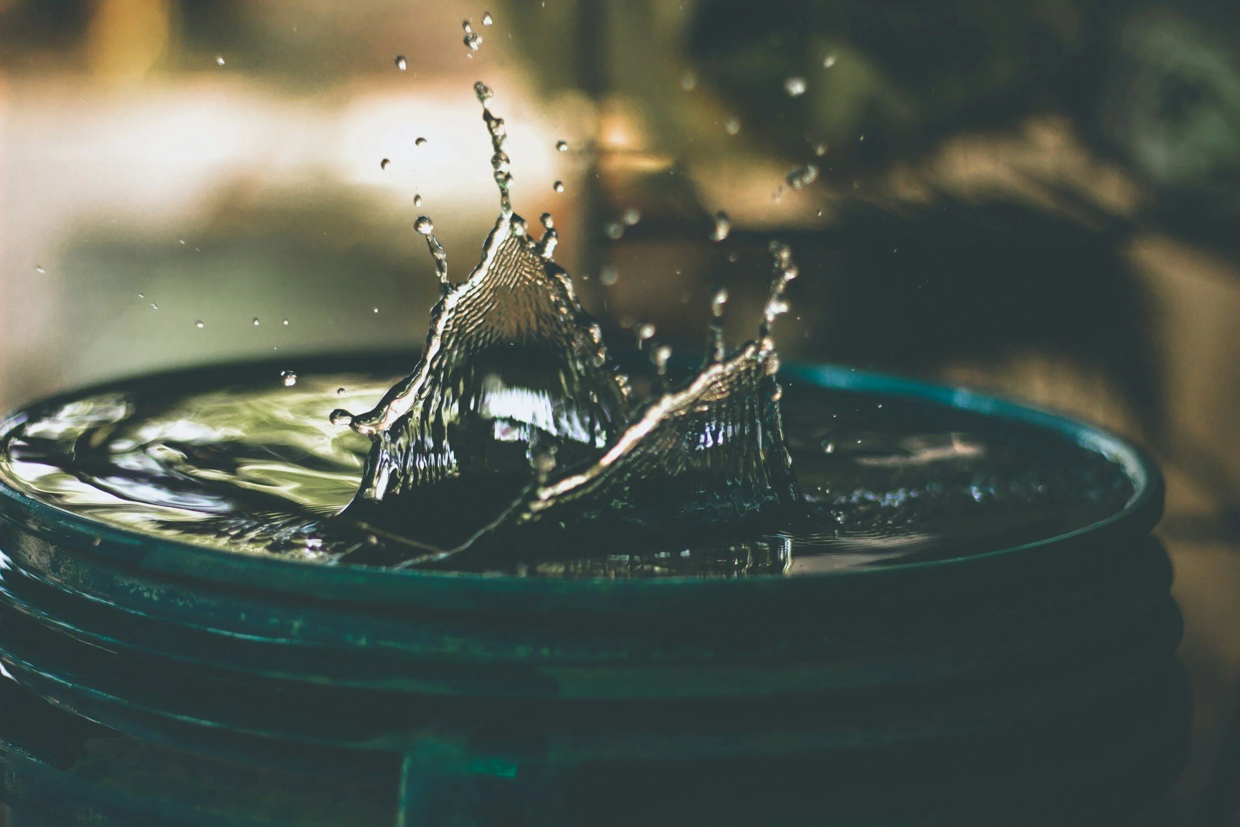 Collecting and Using Rainwater in the Garden
