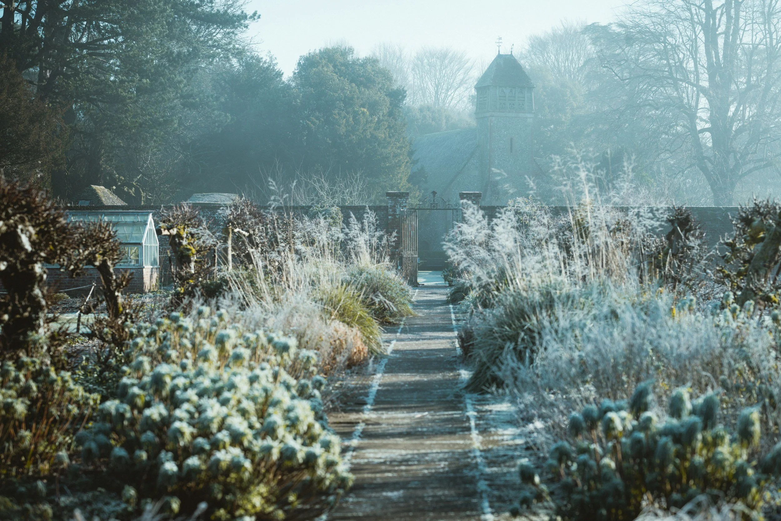 Protecting Plants from Frost, Wind and Heavy Rain