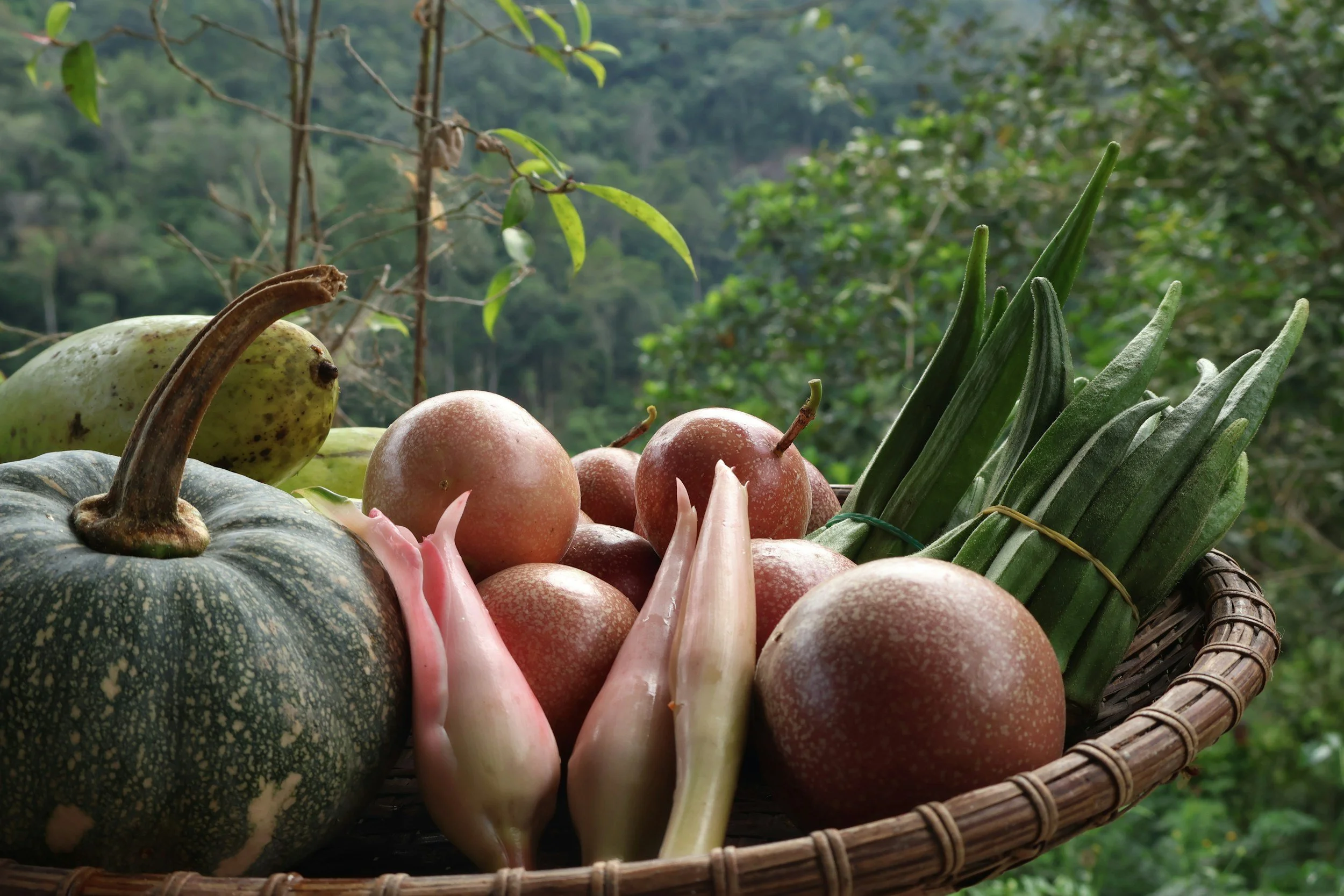 Harvesting &amp; Storage