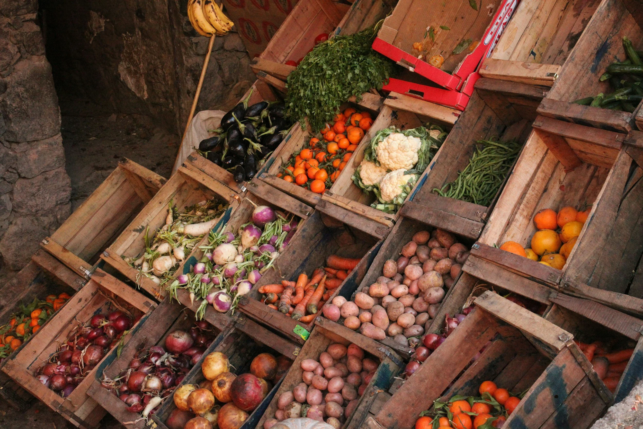 Storing Fresh Vegetables for Maximum Shelf Life