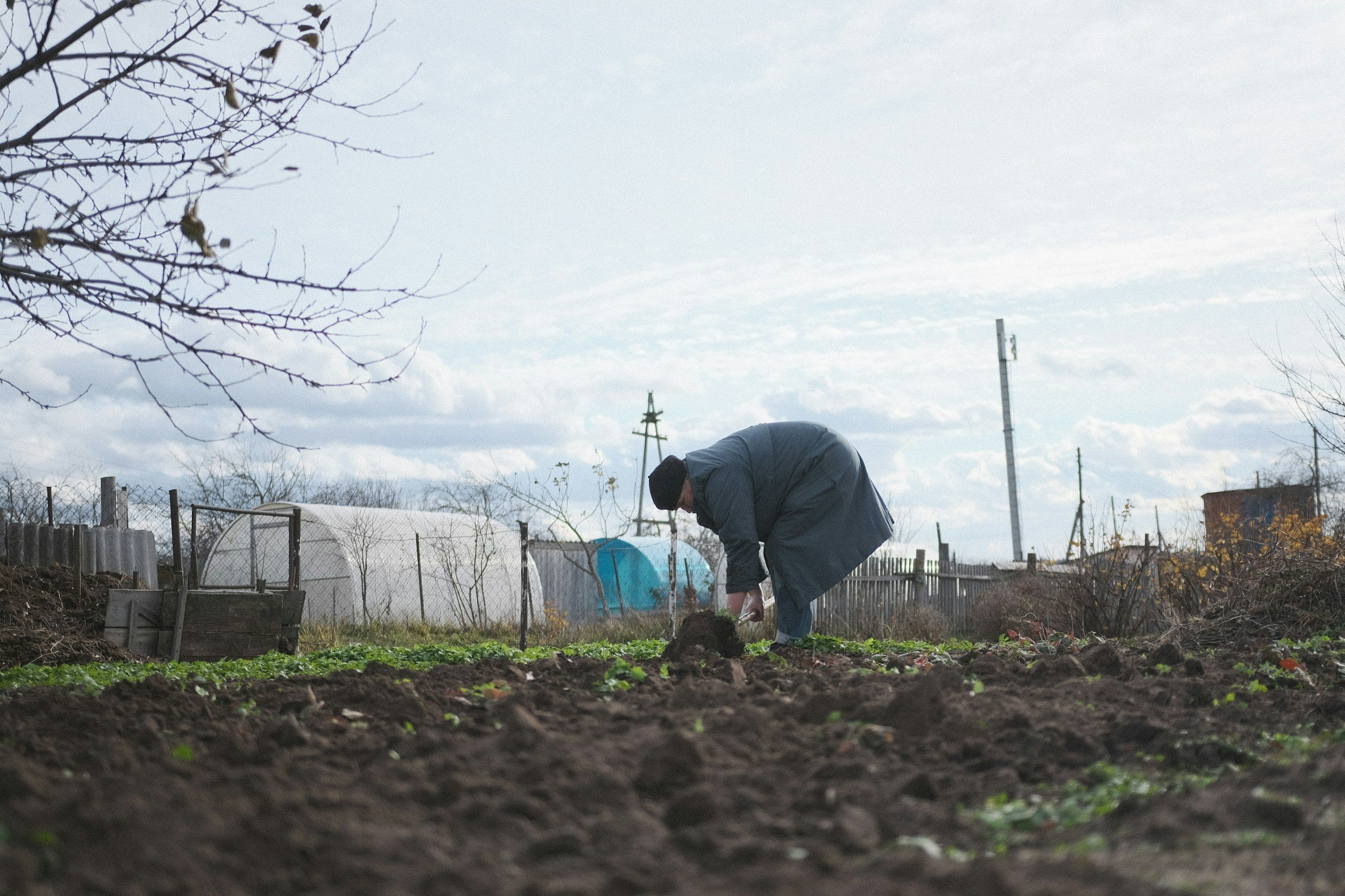 Preparing the Vegetable Garden for Autumn and Winter