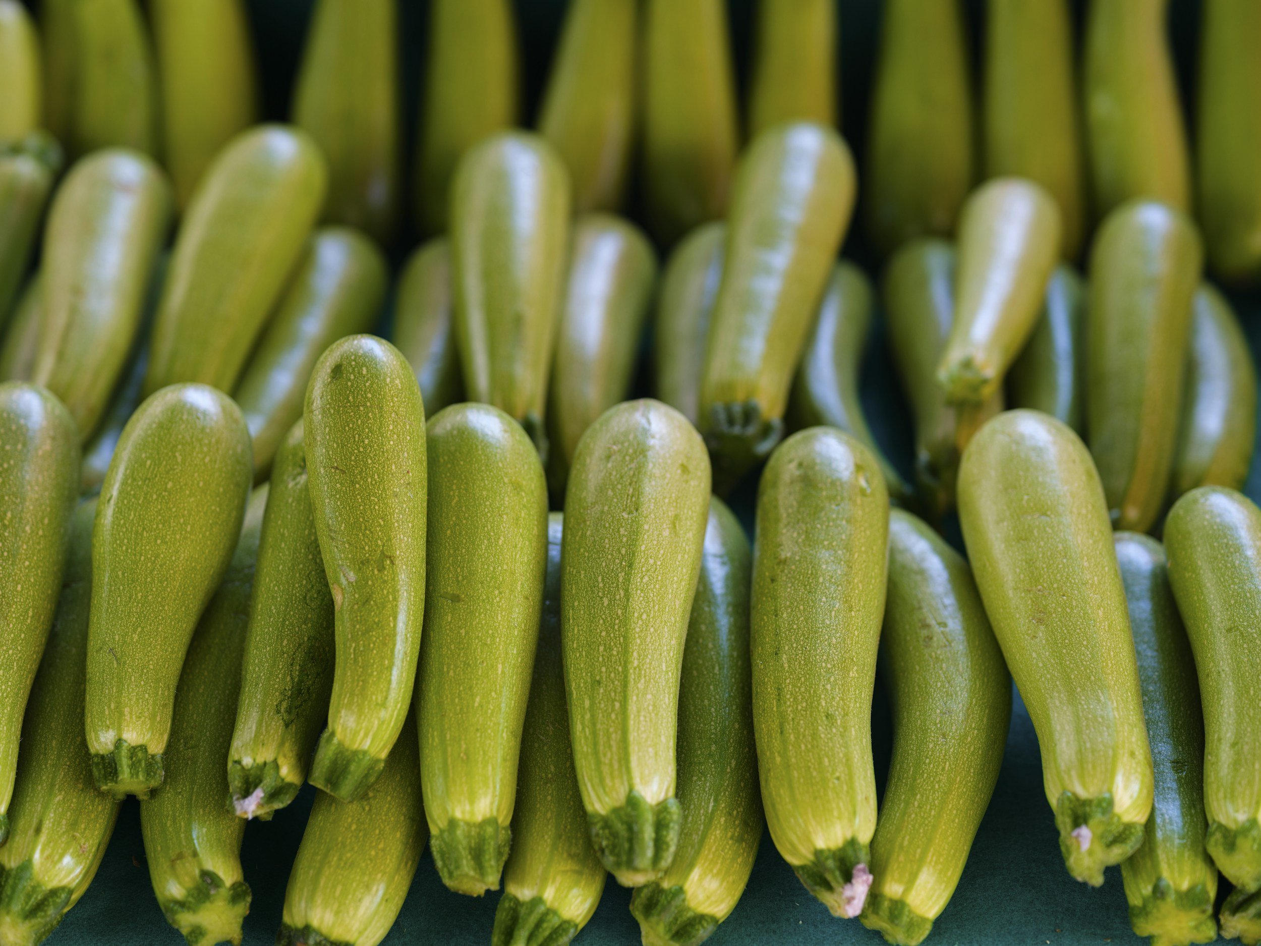 How to Sow and Grow Courgettes: A Complete Guide