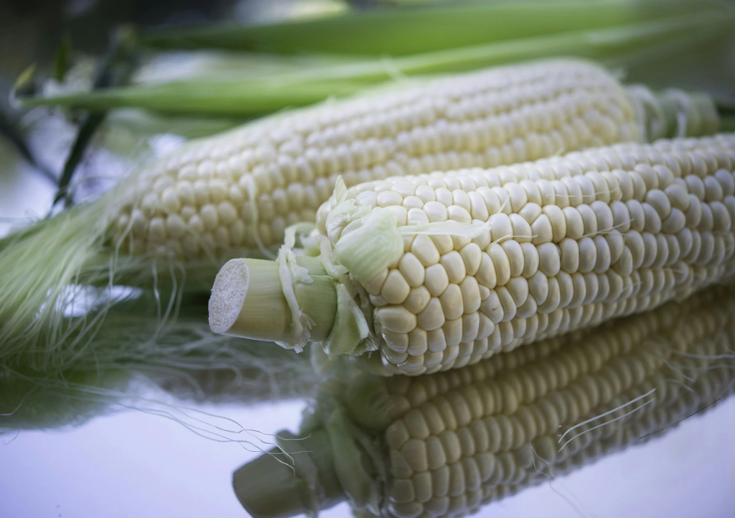 How to Sow and Grow Sweetcorn: A Complete Guide