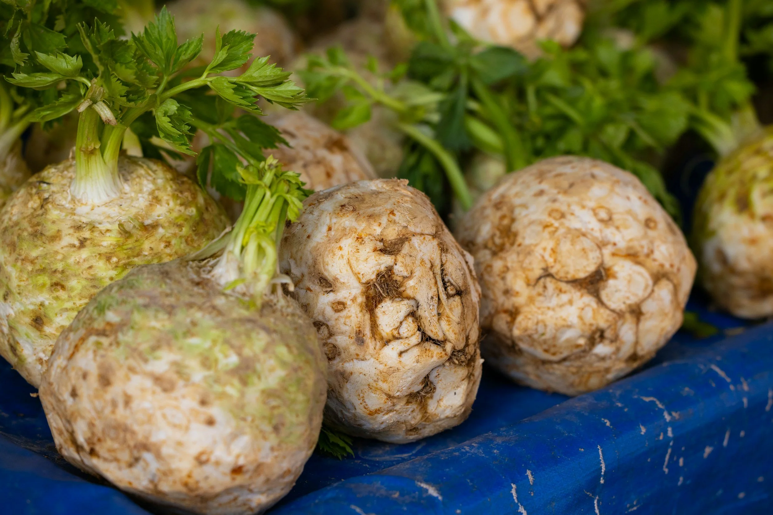 How to Sow and Grow Celeriac: A Complete Guide