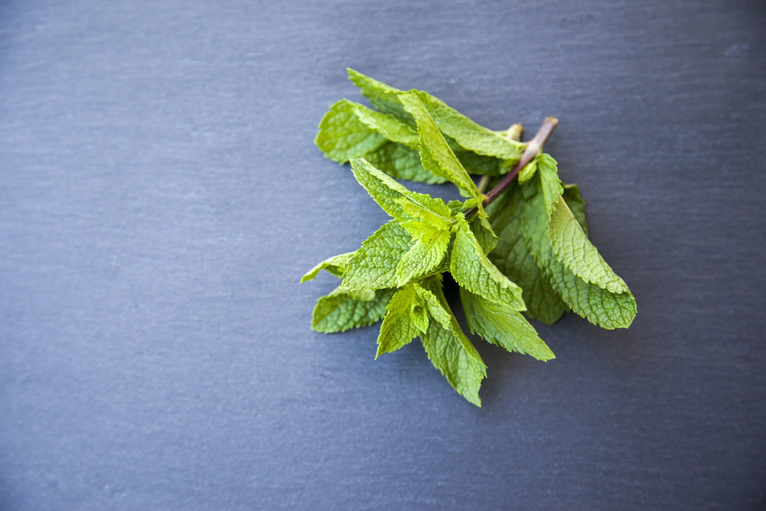 How to Grow Mint: A Complete Organic Herb Guide