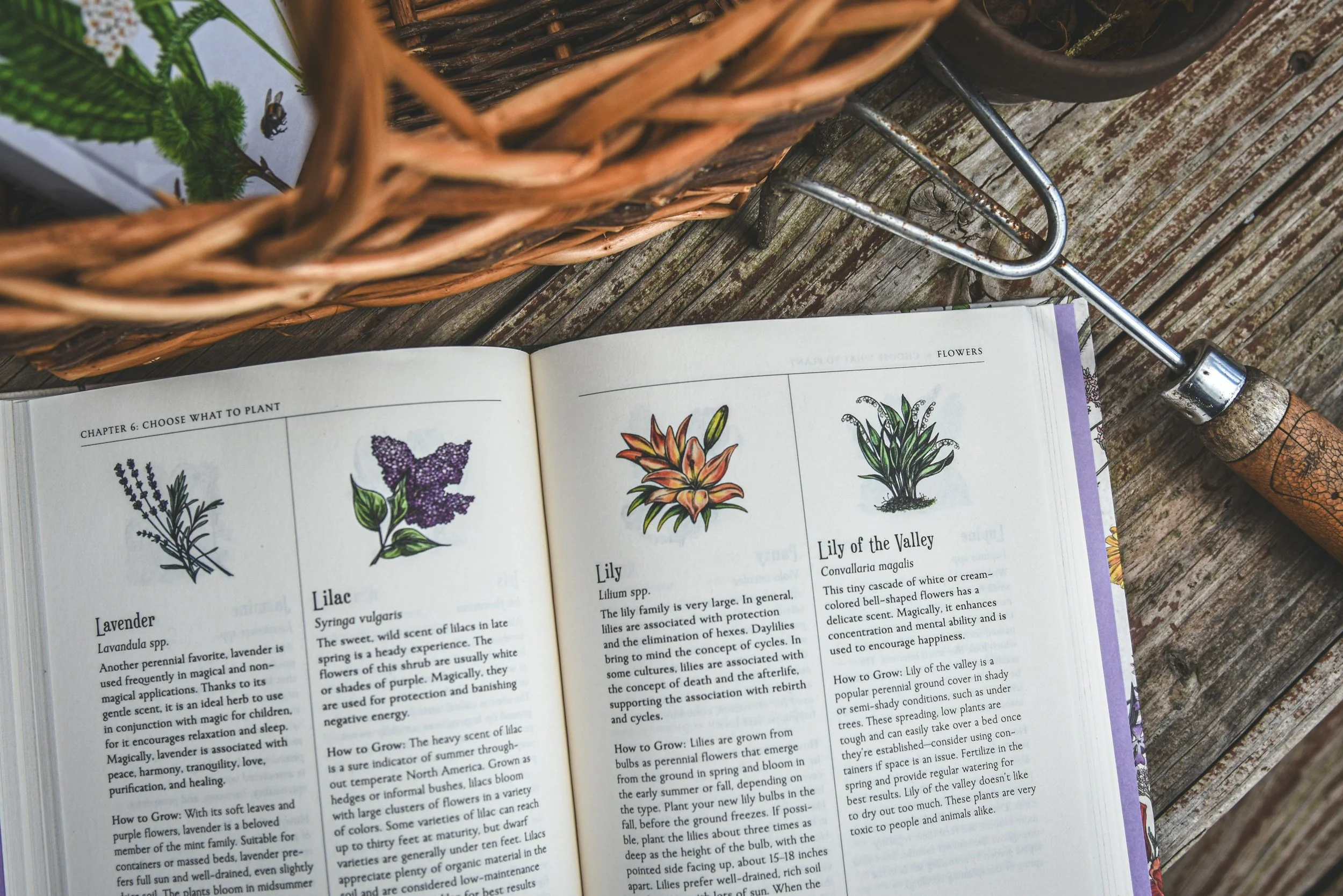 An open gardening reference book beside a hand fork and basket.