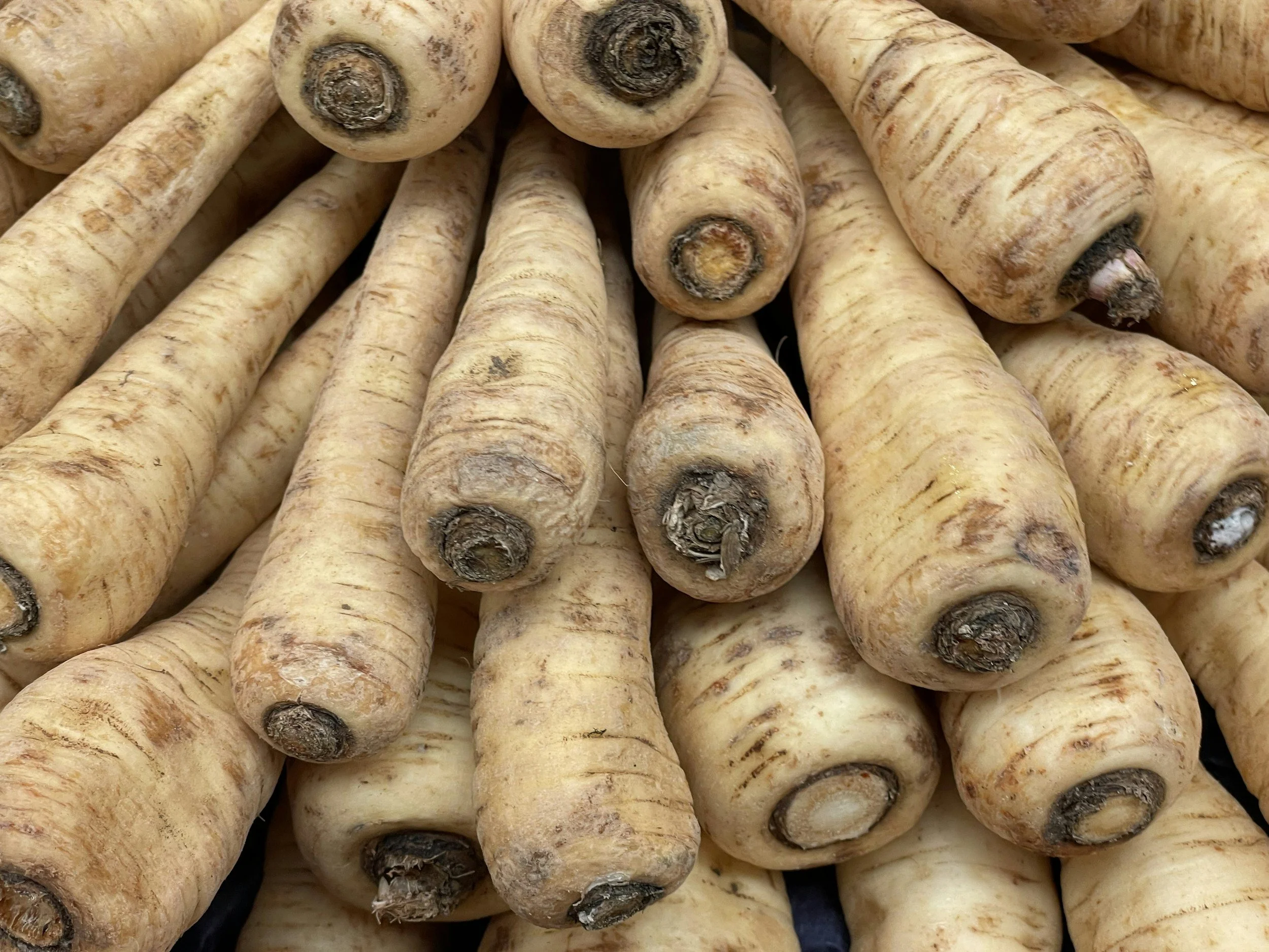Fresh cream-coloured parsnip roots piled together