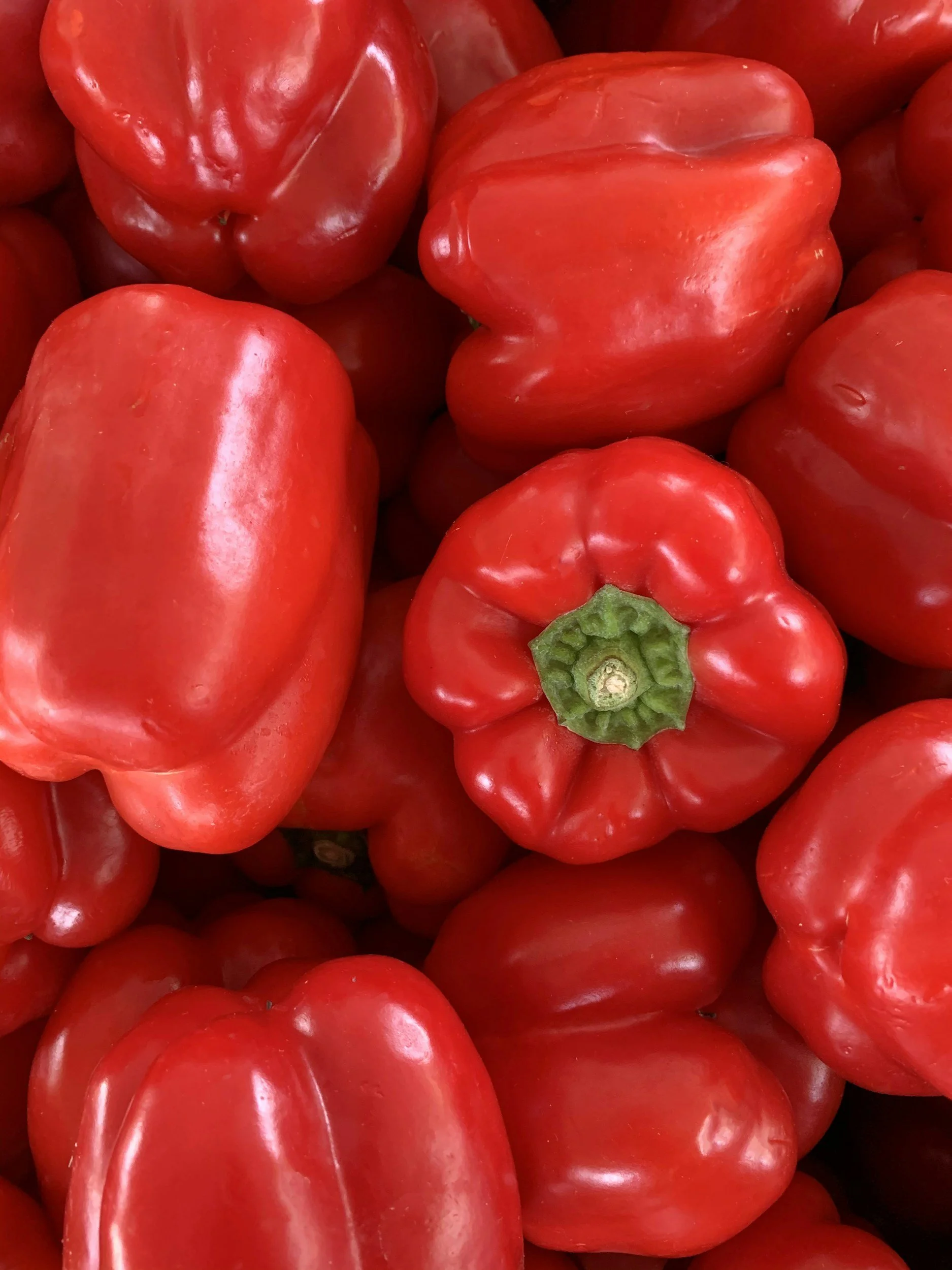 A pile of glossy ripe red sweet peppers with green stalks