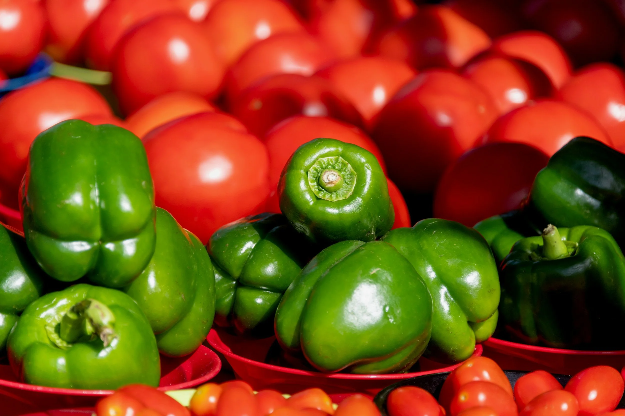 Fresh green sweet peppers and ripe red tomatoes together