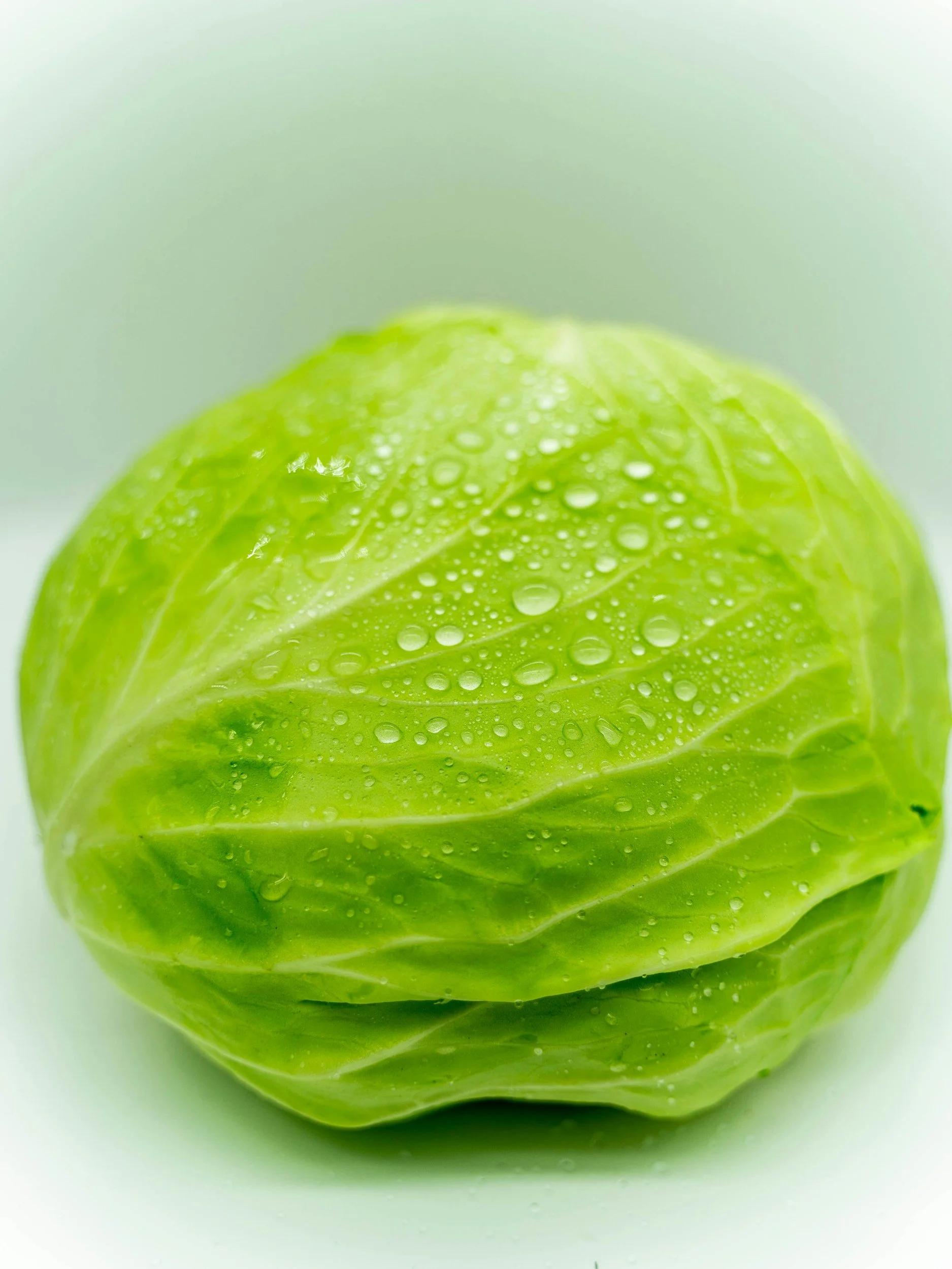 A fresh green cabbage with water droplets on its tightly wrapped leaves