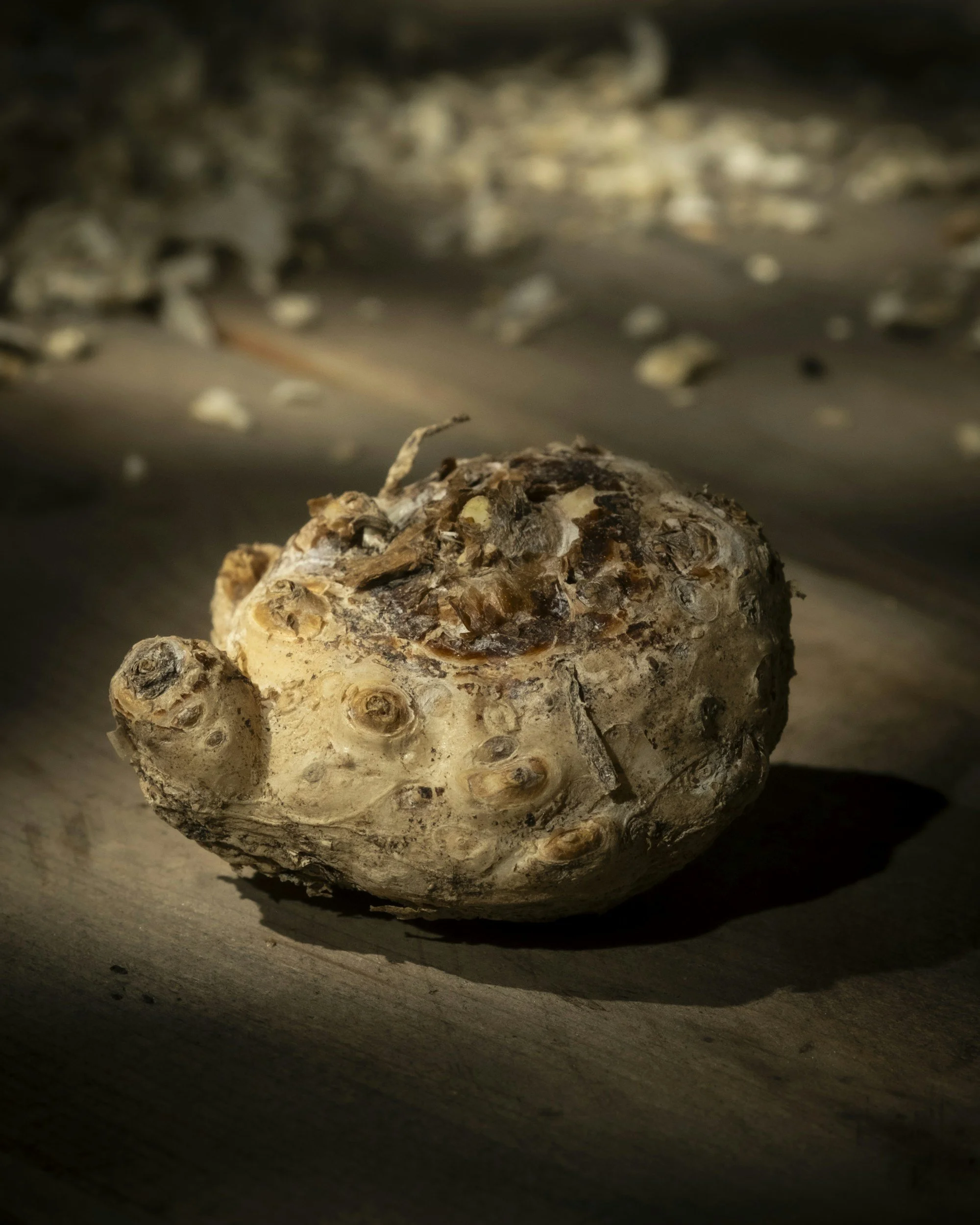 A whole celeriac root on a rustic wooden surface