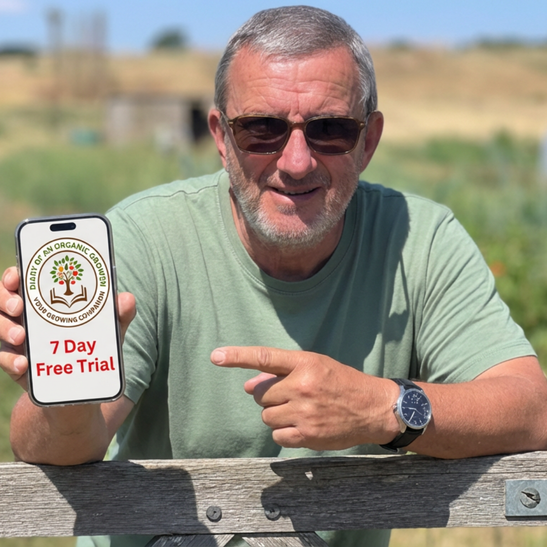 Man with gray hair and beard wearing sunglasses and a green t-shirt, sitting outdoors at a wooden table, holding a smartphone displaying a logo with a tree, an open book, and the text '7 Day Free Trial'.