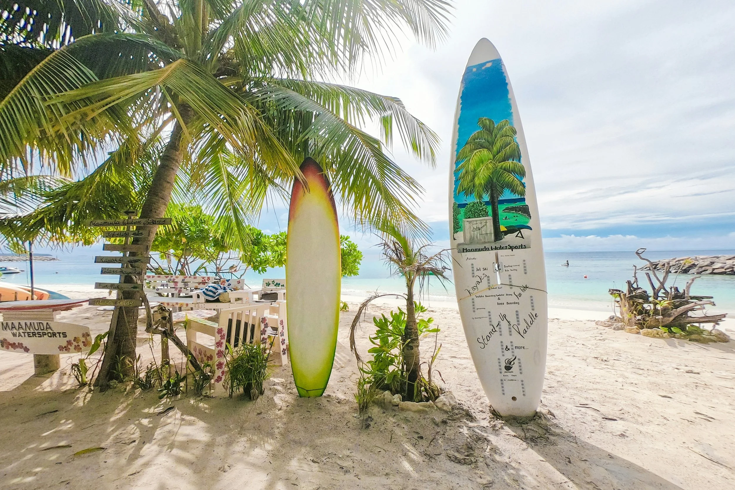 Beach scene with surfboards leaning against a palm tree, sand, ocean, and a sign for watersports.