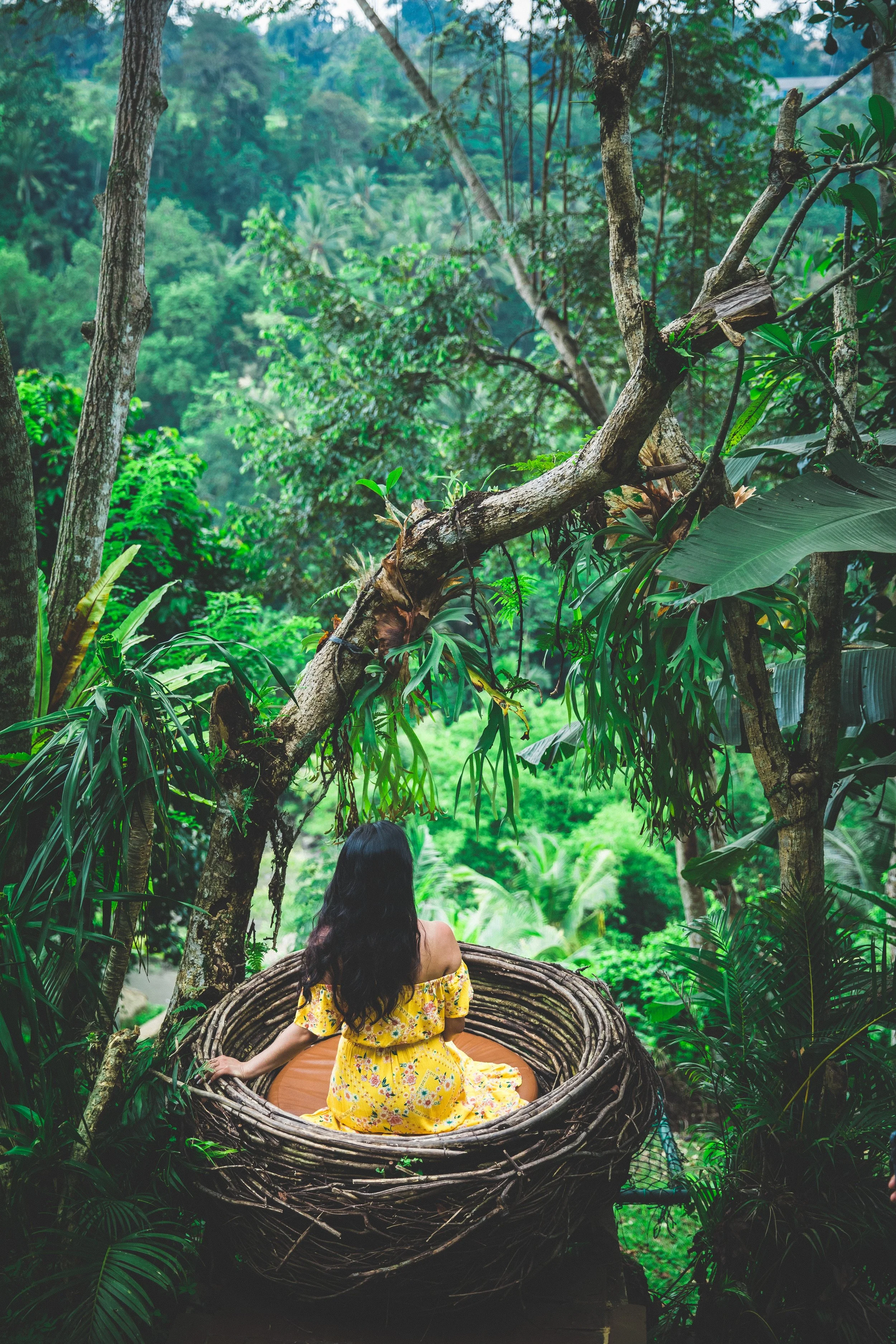 Woman in yellow dress sitting in a large nest overlooking a lush green jungle.