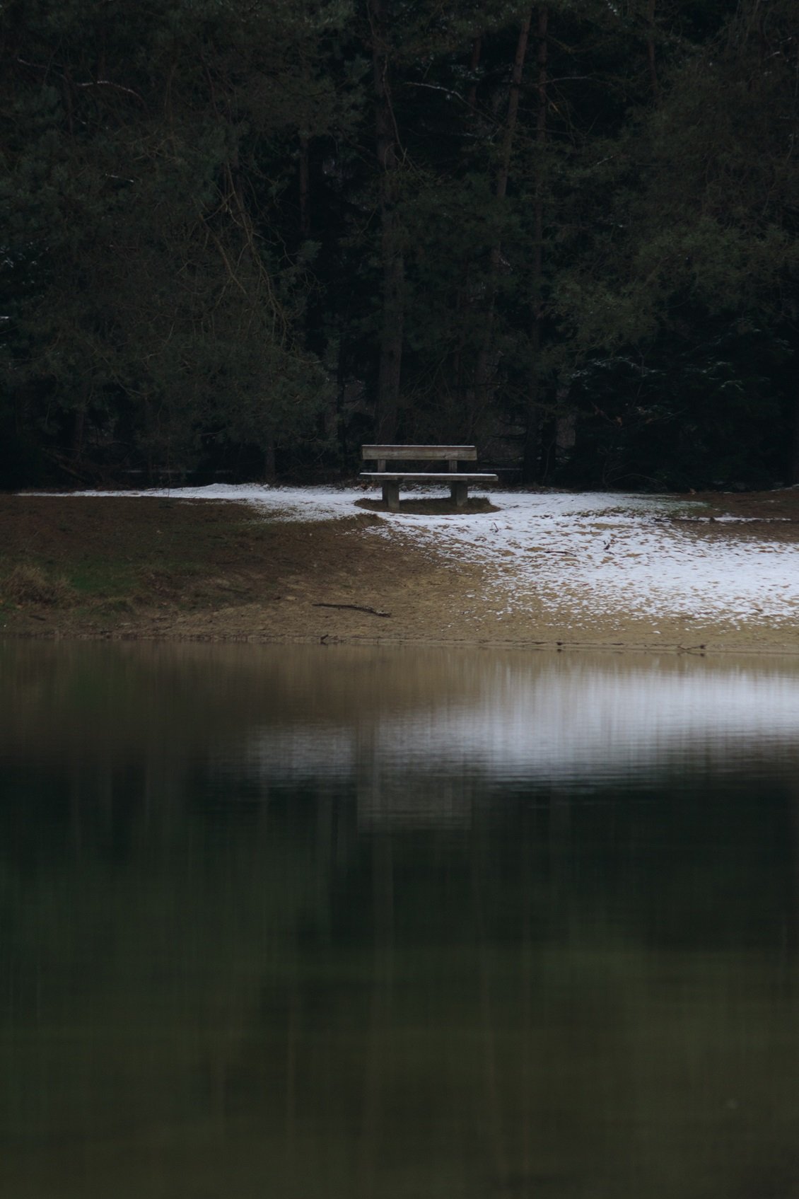 Eenzame bank nabij een waterkant met een rand van sneeuw, omgeven door een dennenbos op de achtergrond.