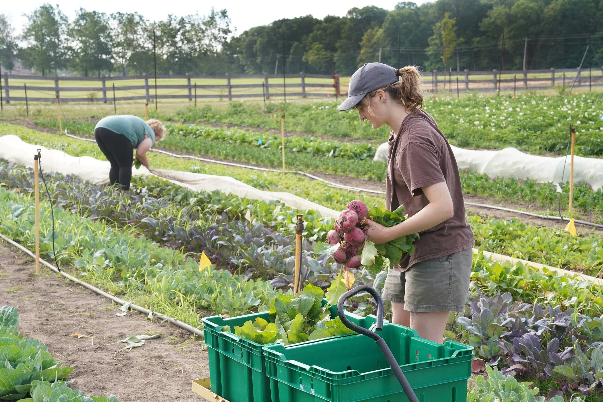 Food Security Begins on the Farm | Health, Farming &amp; Resilience