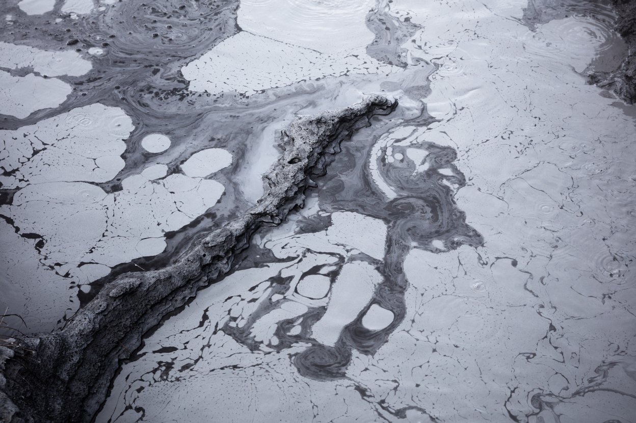 子どもの個性リーディング