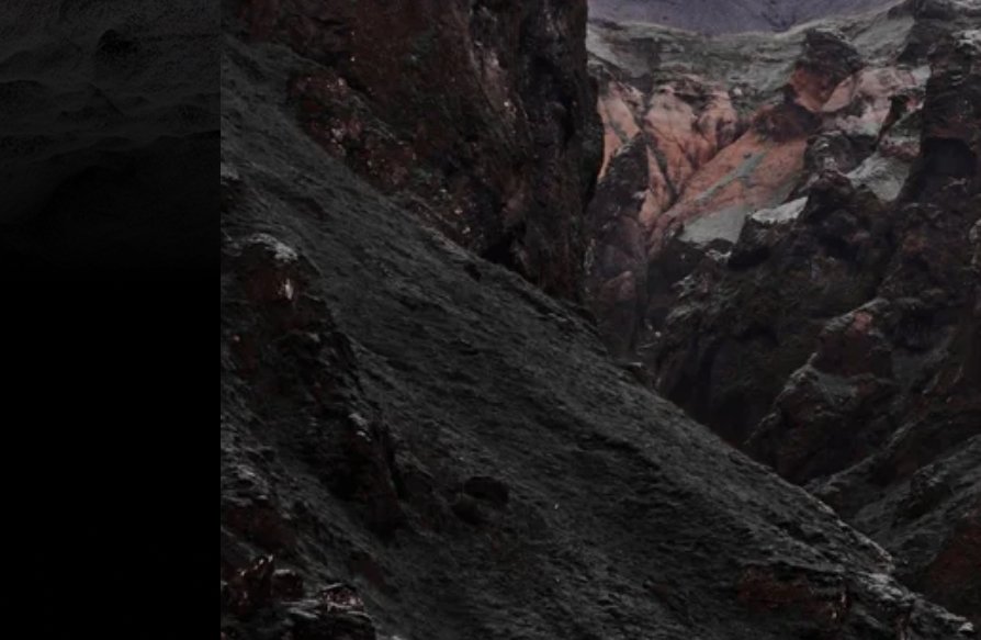 リーダーシップサポート リーディング