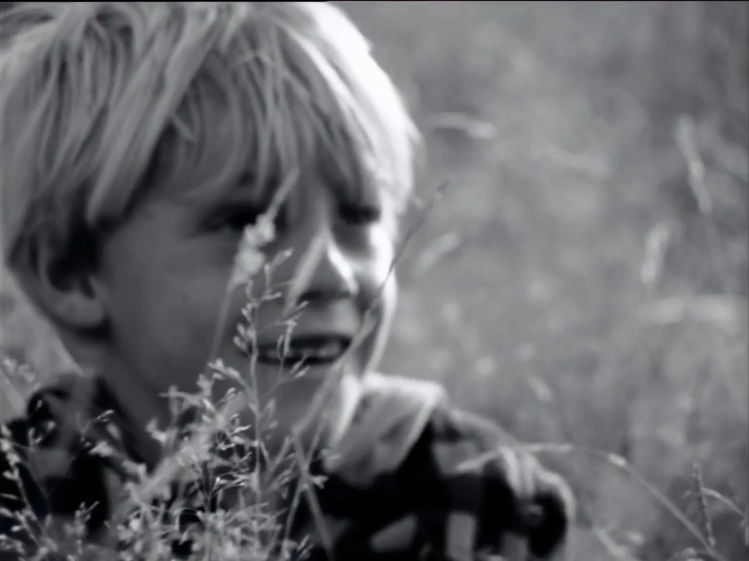 TVC – Tararua Milk 