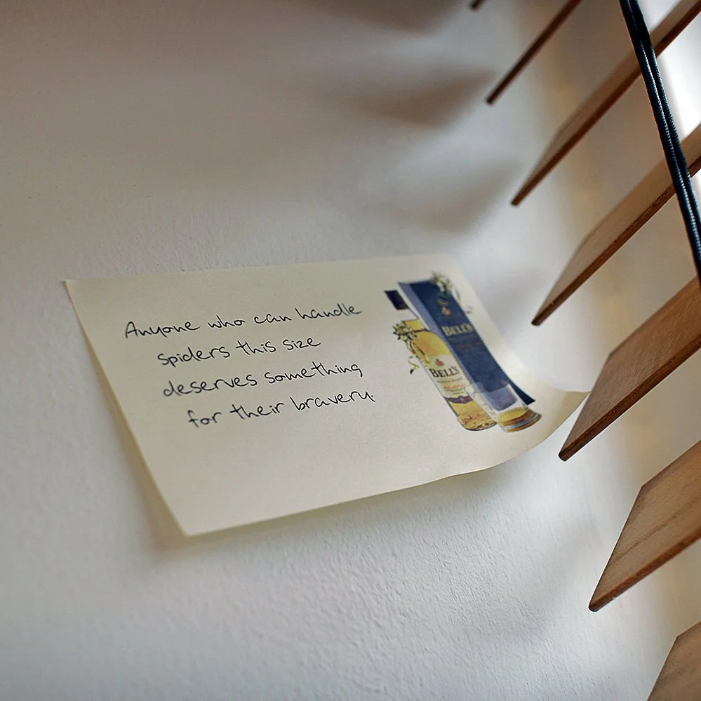 Bells_fathers_spider_001﹖fjks