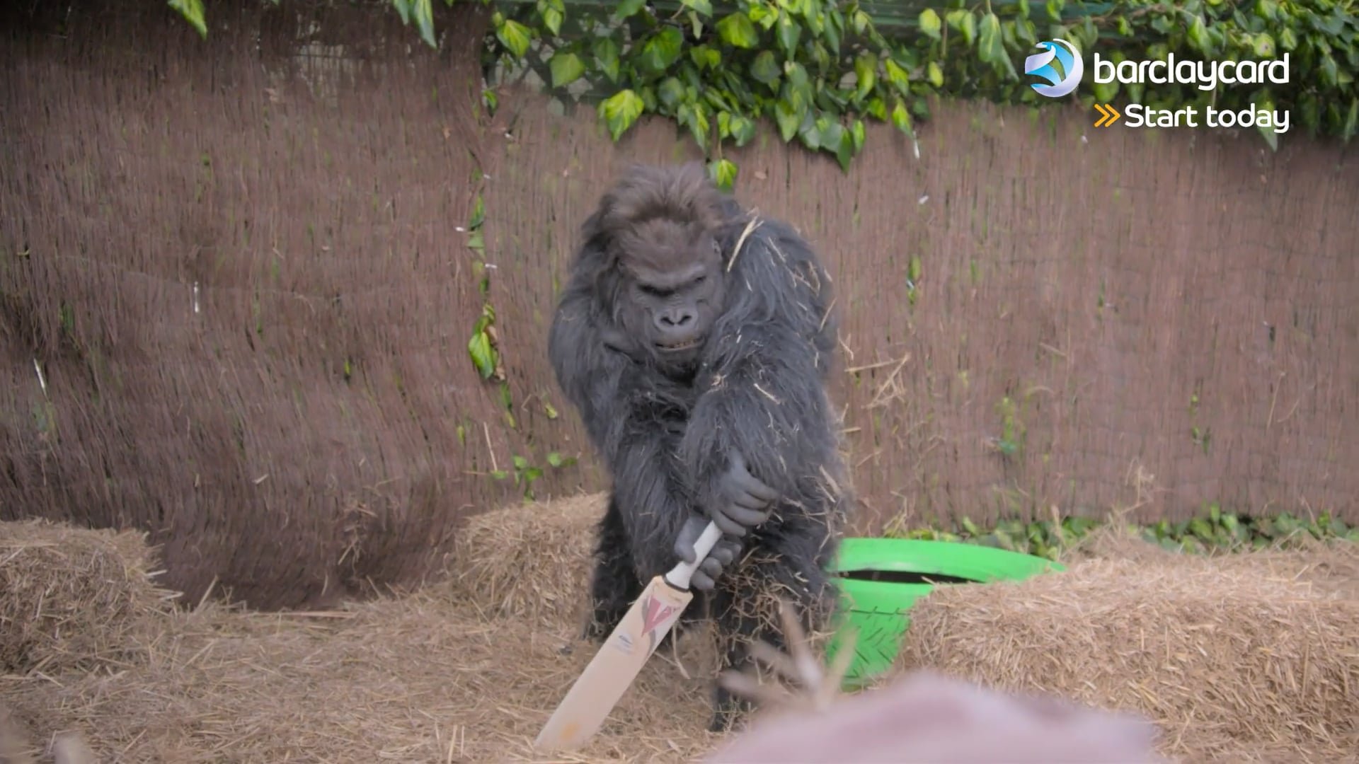 Barclaycard – Gorillas