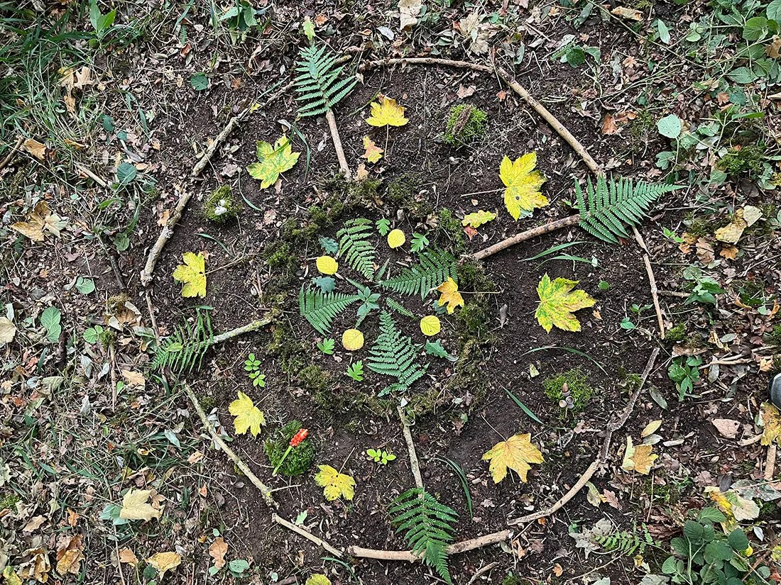 Forest ground with fern leaves, yellow leaves, moss, sticks, and small plants arranged in a circular pattern.